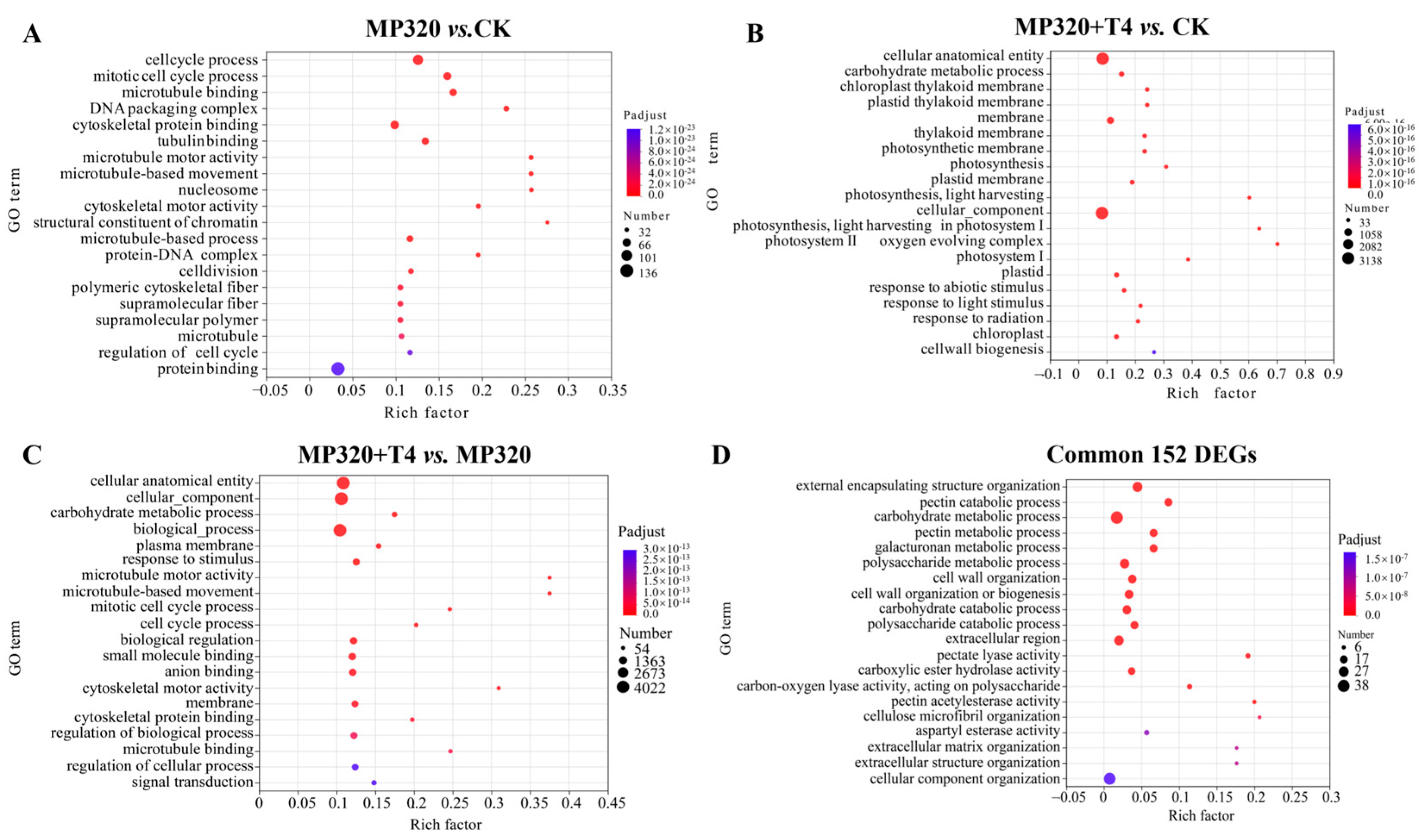 Ijms 26 11667 g008 Ijms 26 11667 g008