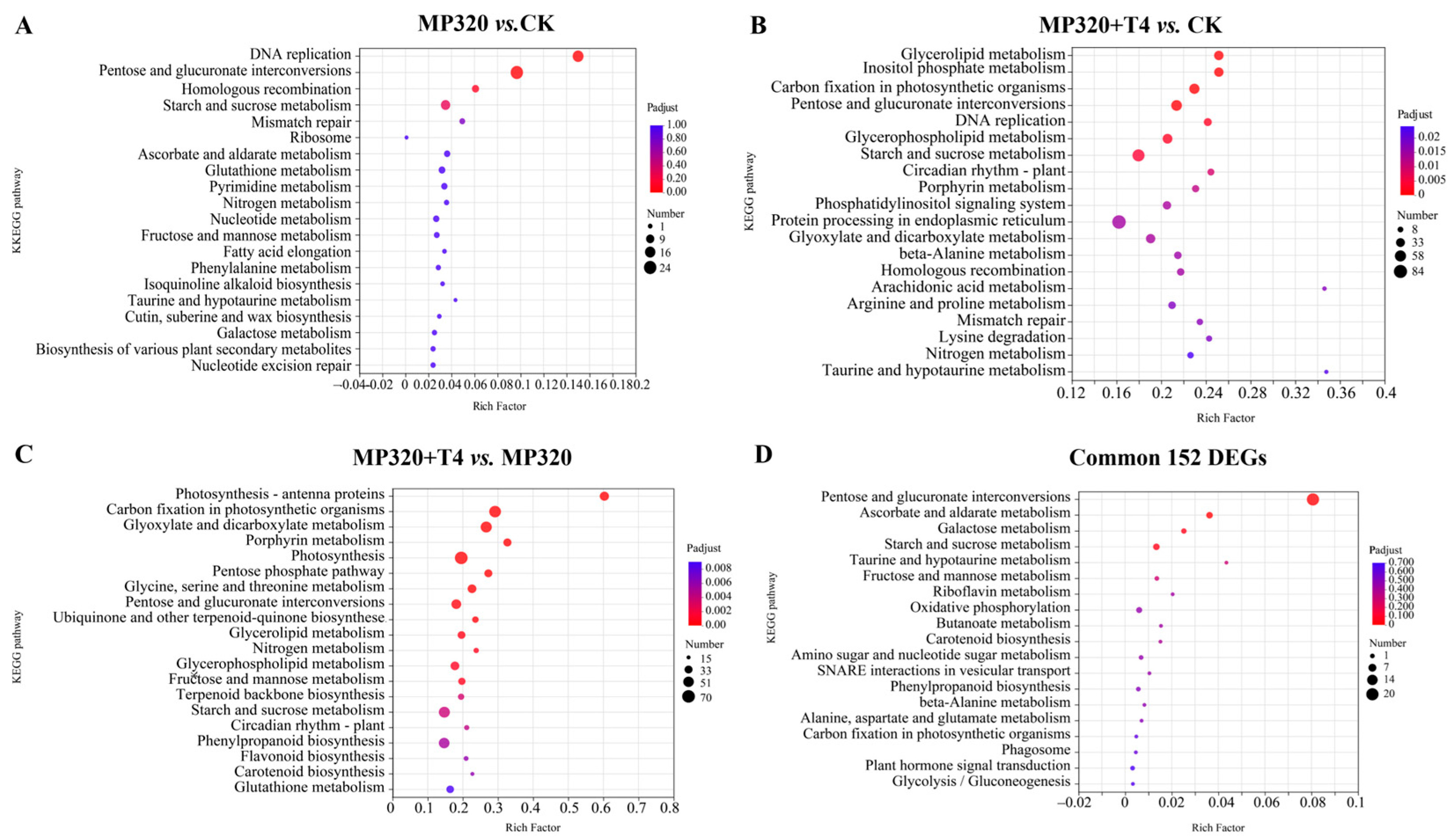 Ijms 26 11667 g009 Ijms 26 11667 g009
