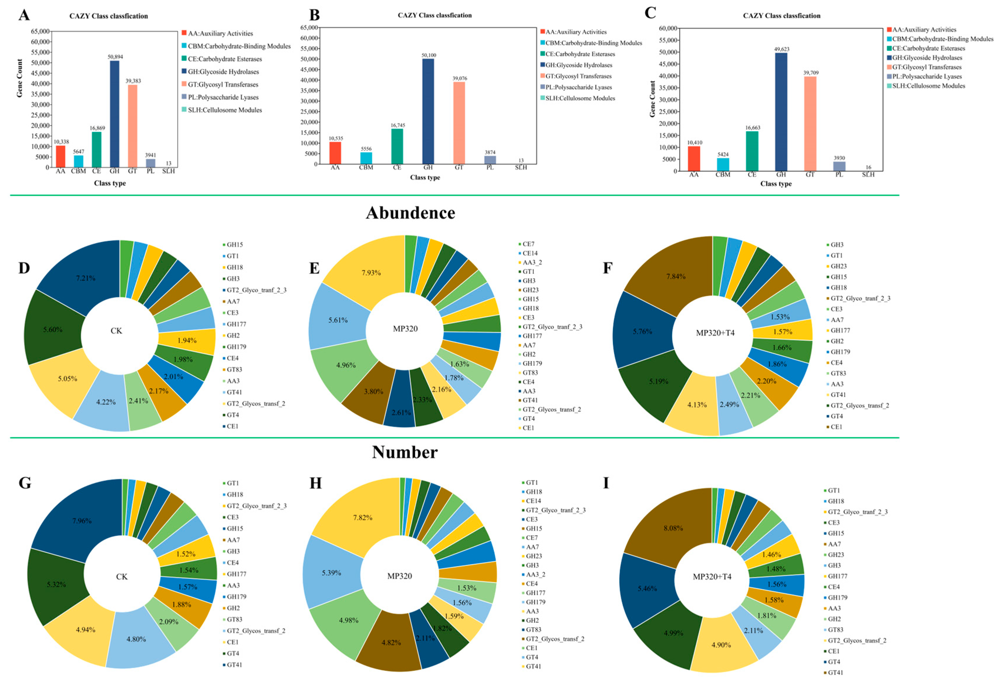 Ijms 26 11667 g015 Ijms 26 11667 g015