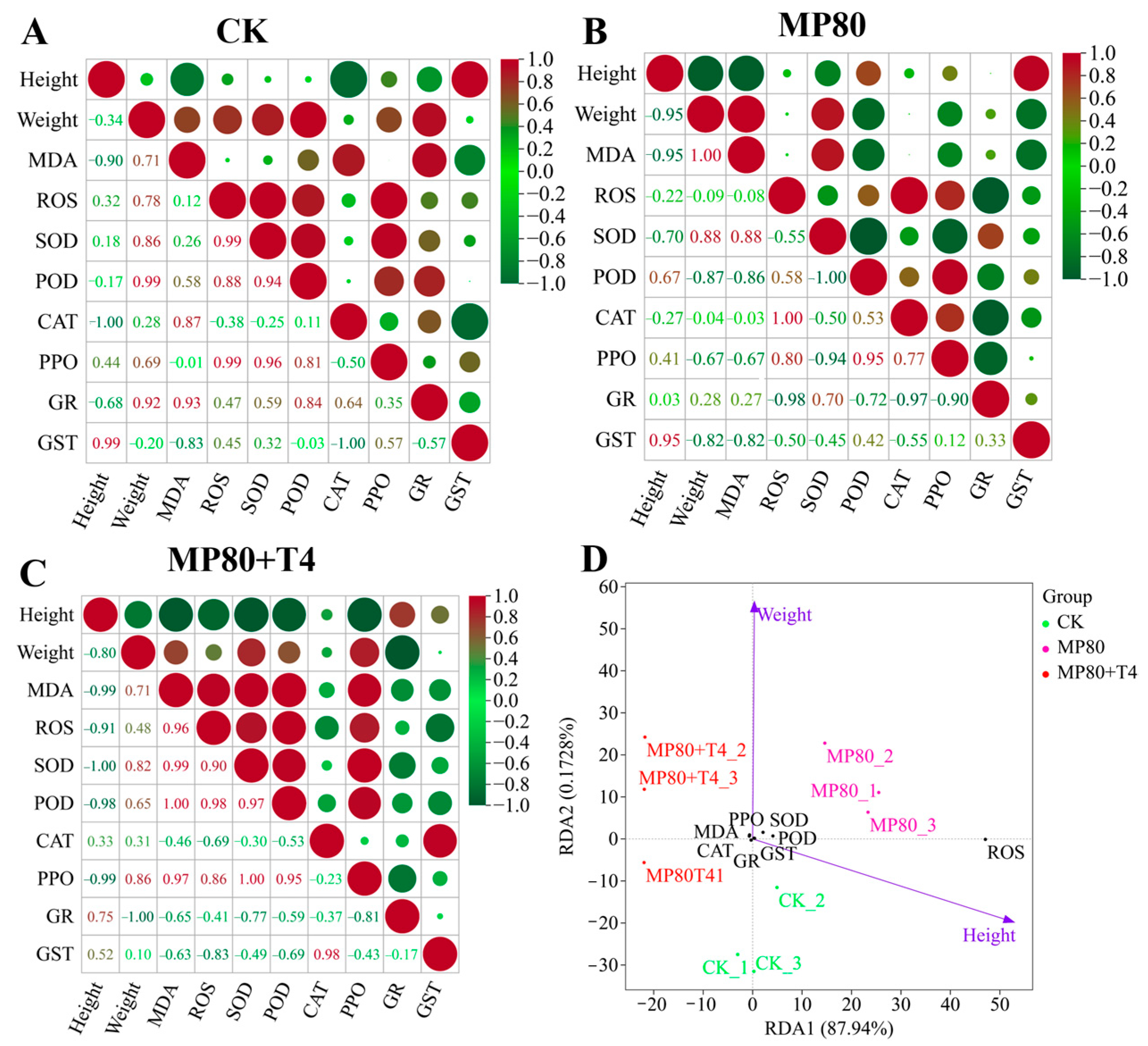 Ijms 26 11667 g019 Ijms 26 11667 g019