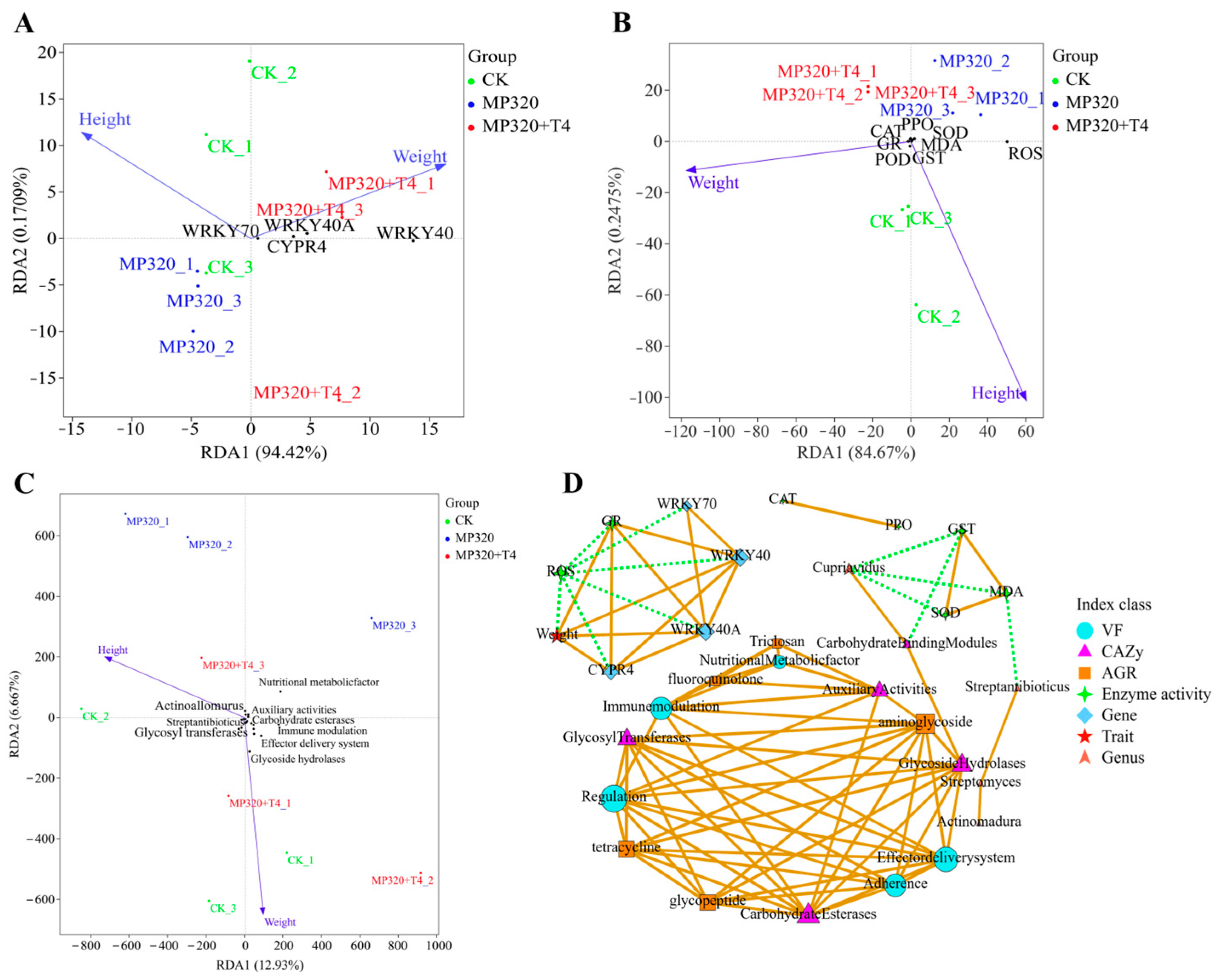 Ijms 26 11667 g020 Ijms 26 11667 g020