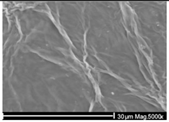 Ijms 26 11758 i002 Ijms 26 11758 i002