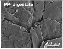 Ijms 26 11758 i004 Ijms 26 11758 i004