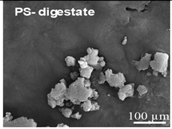 Ijms 26 11758 i006 Ijms 26 11758 i006