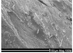 Ijms 26 11758 i010 Ijms 26 11758 i010