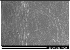 Ijms 26 11758 i012 Ijms 26 11758 i012