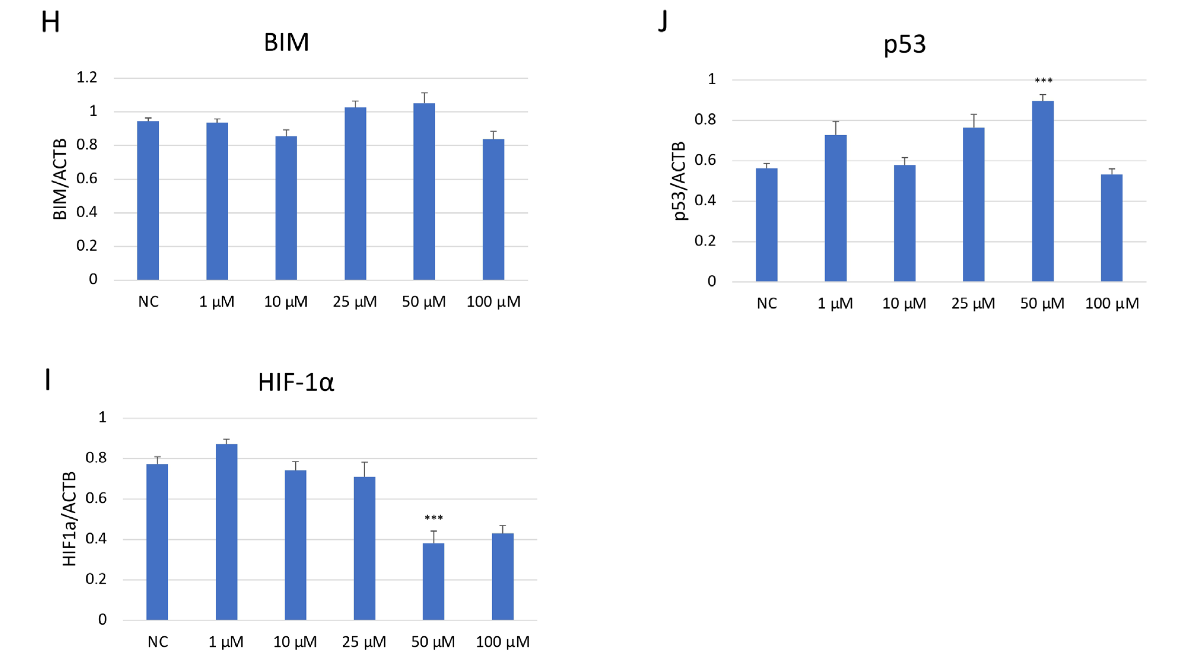 Ijms 26 11894 g007b Ijms 26 11894 g007b