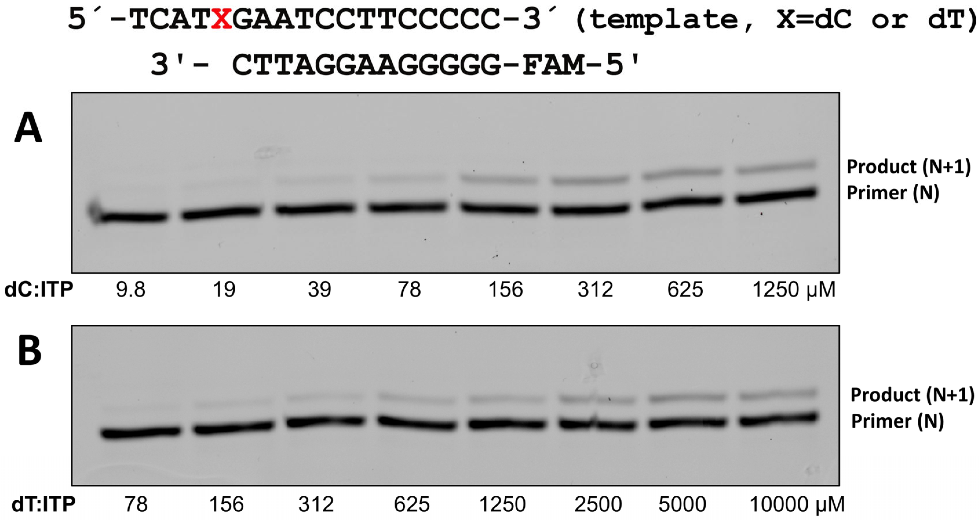 Ijms 26 12030 g004