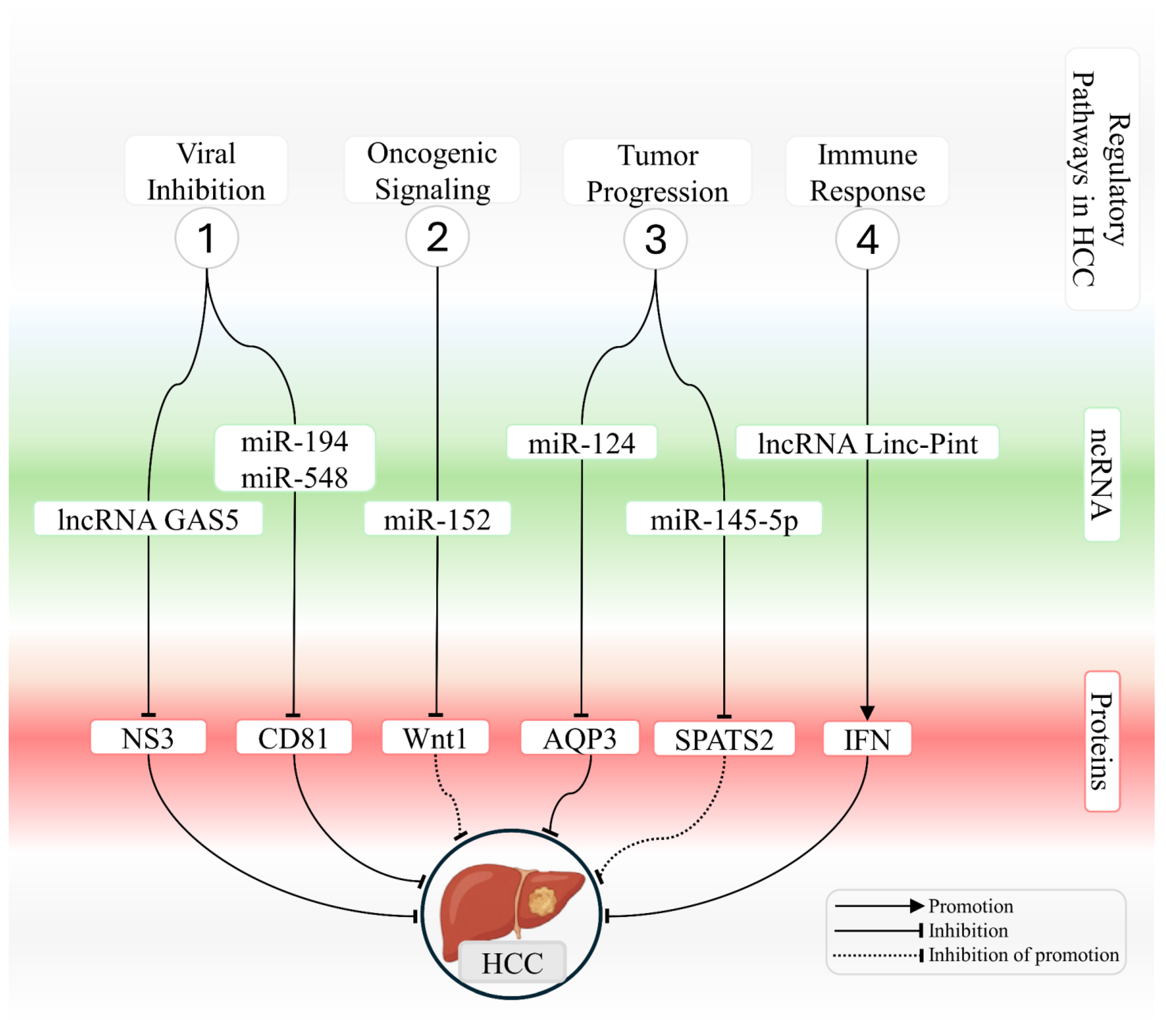 Ijms 26 12045 g002 Ijms 26 12045 g002