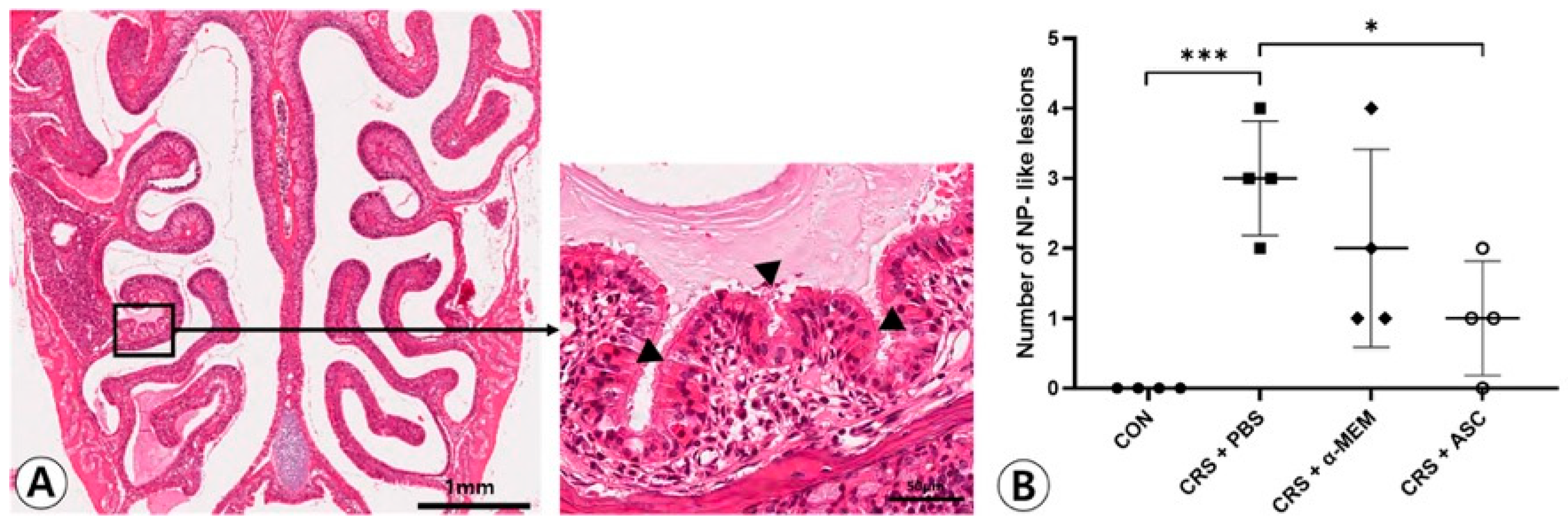 Ijms 26 12137 g001 Ijms 26 12137 g001