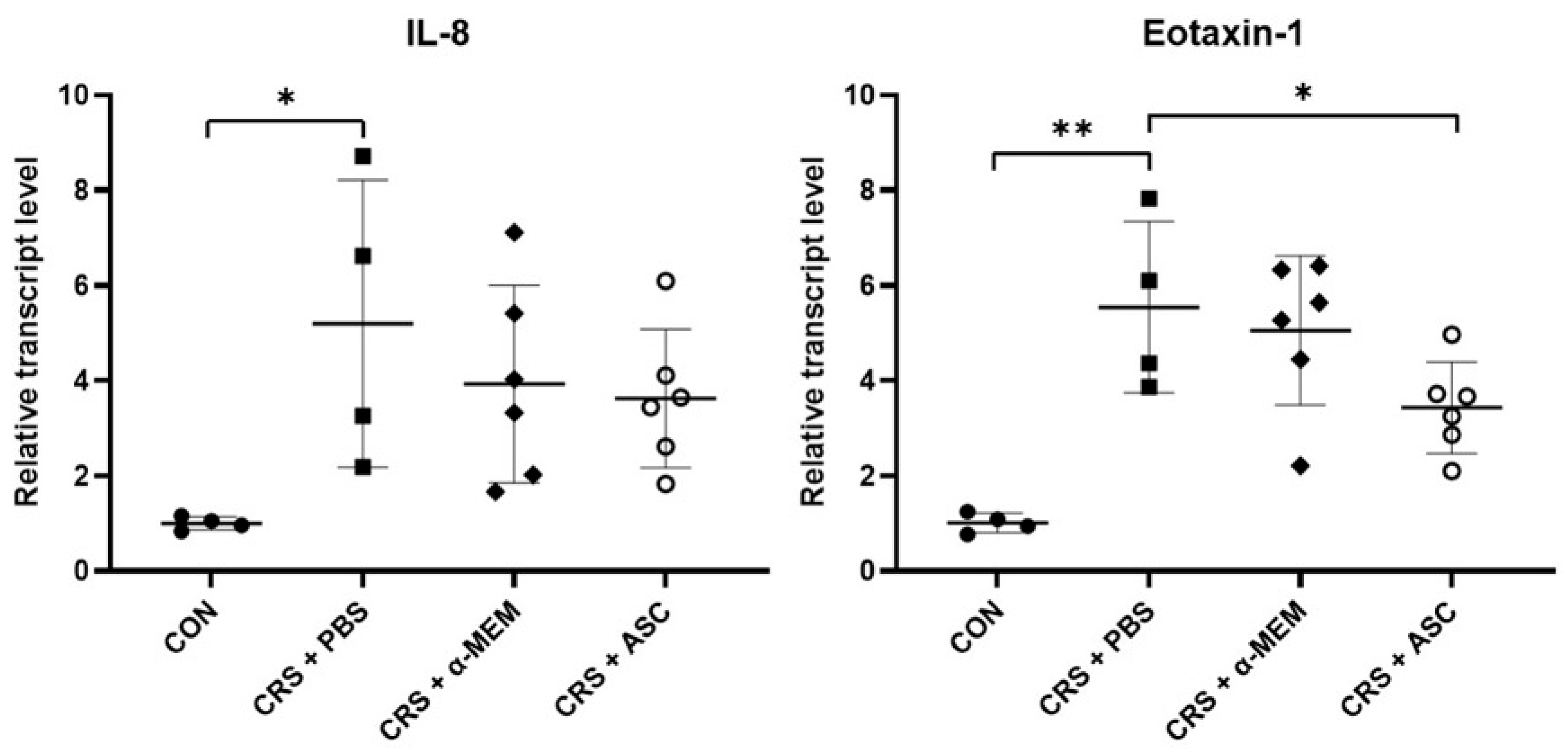 Ijms 26 12137 g004 Ijms 26 12137 g004
