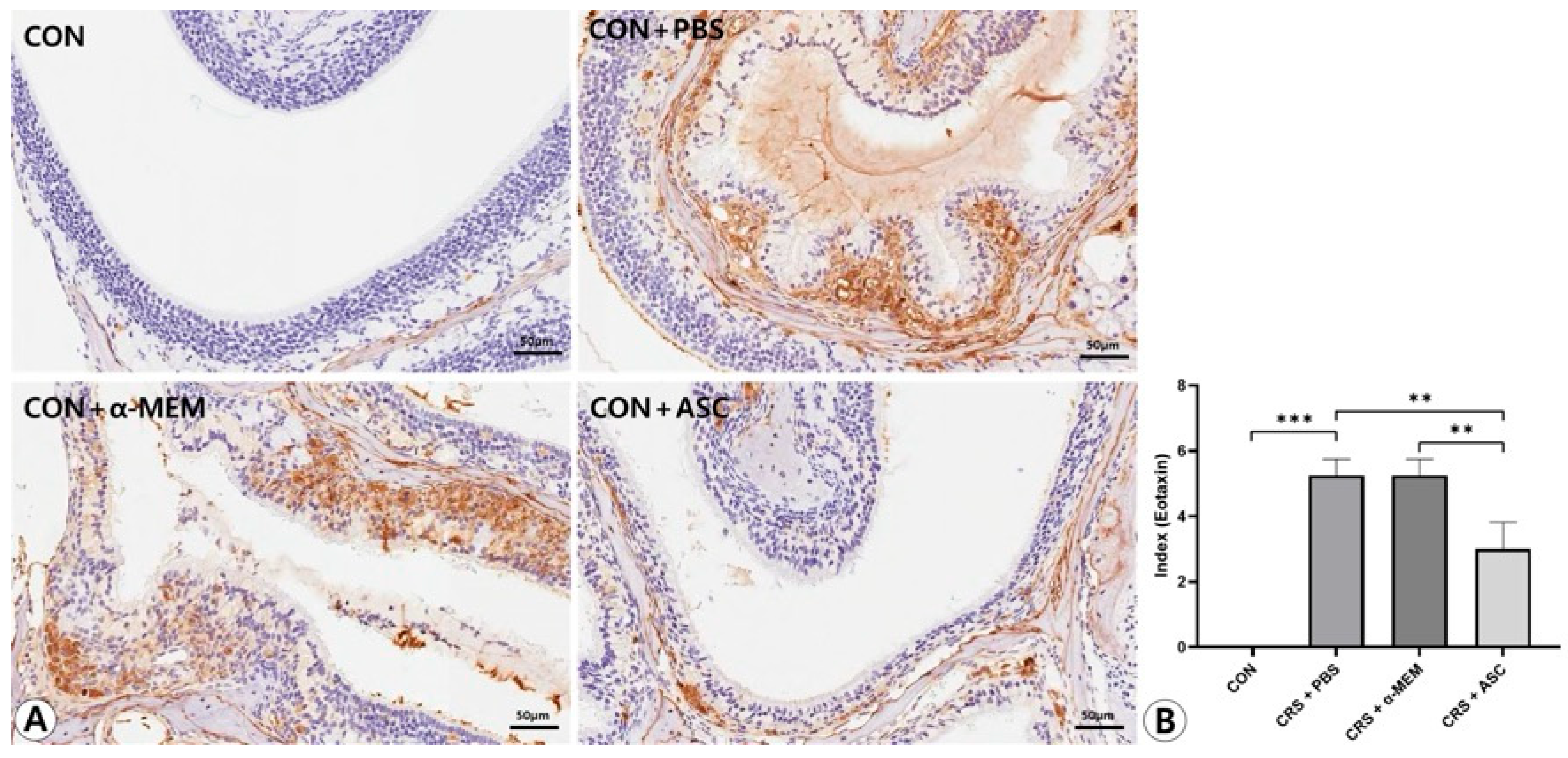 Ijms 26 12137 g006 Ijms 26 12137 g006