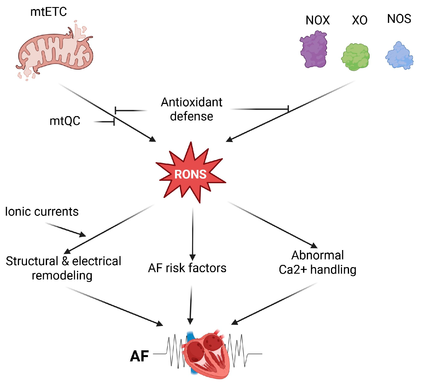 Ijms 27 00175 g001 Ijms 27 00175 g001