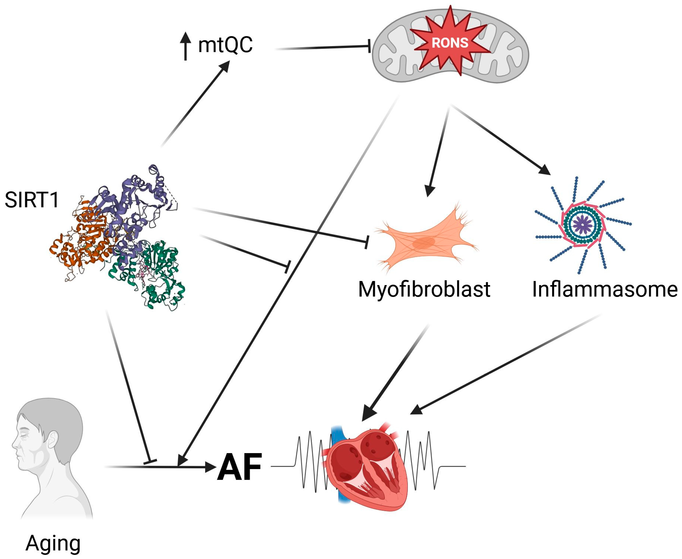 Ijms 27 00175 g003 Ijms 27 00175 g003