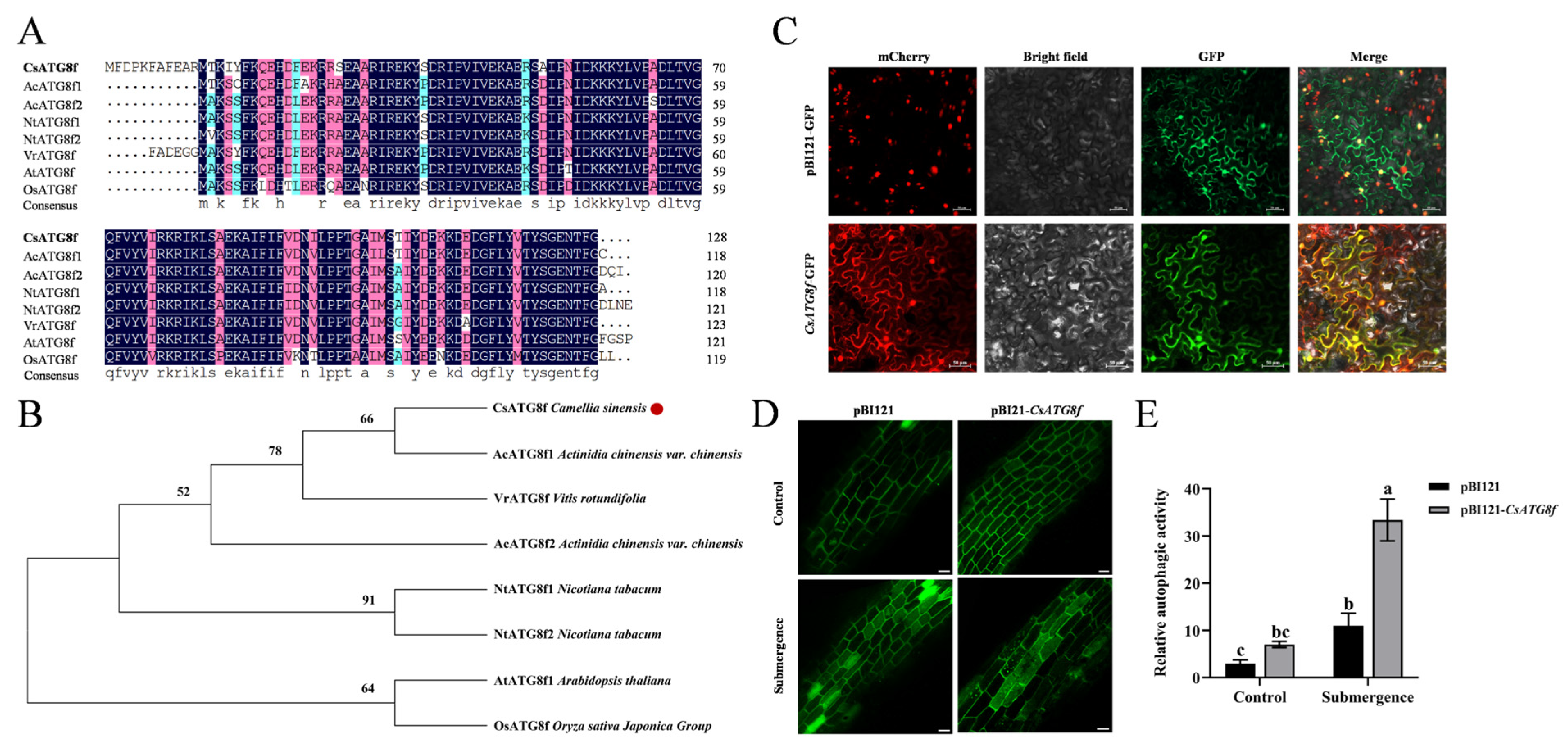 Ijms 27 00235 g002