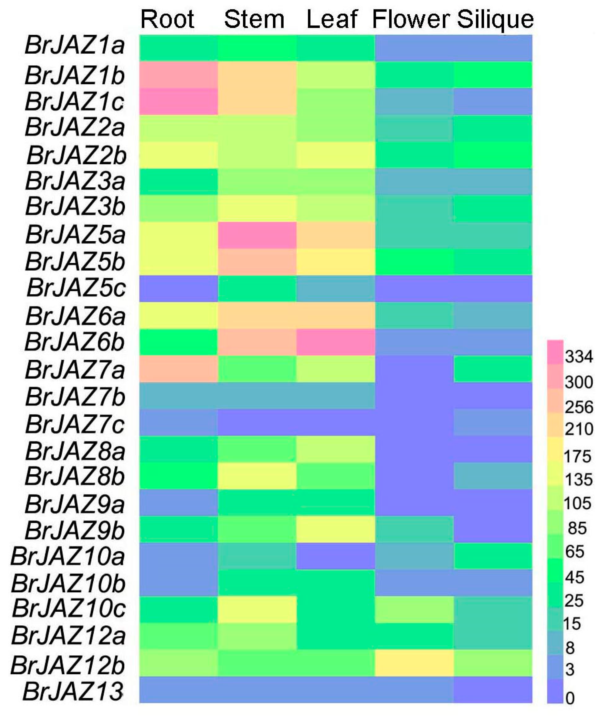 Ijms 27 00289 g004