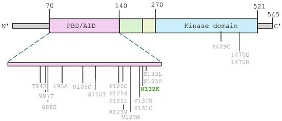 Ijms 27 00439 g004