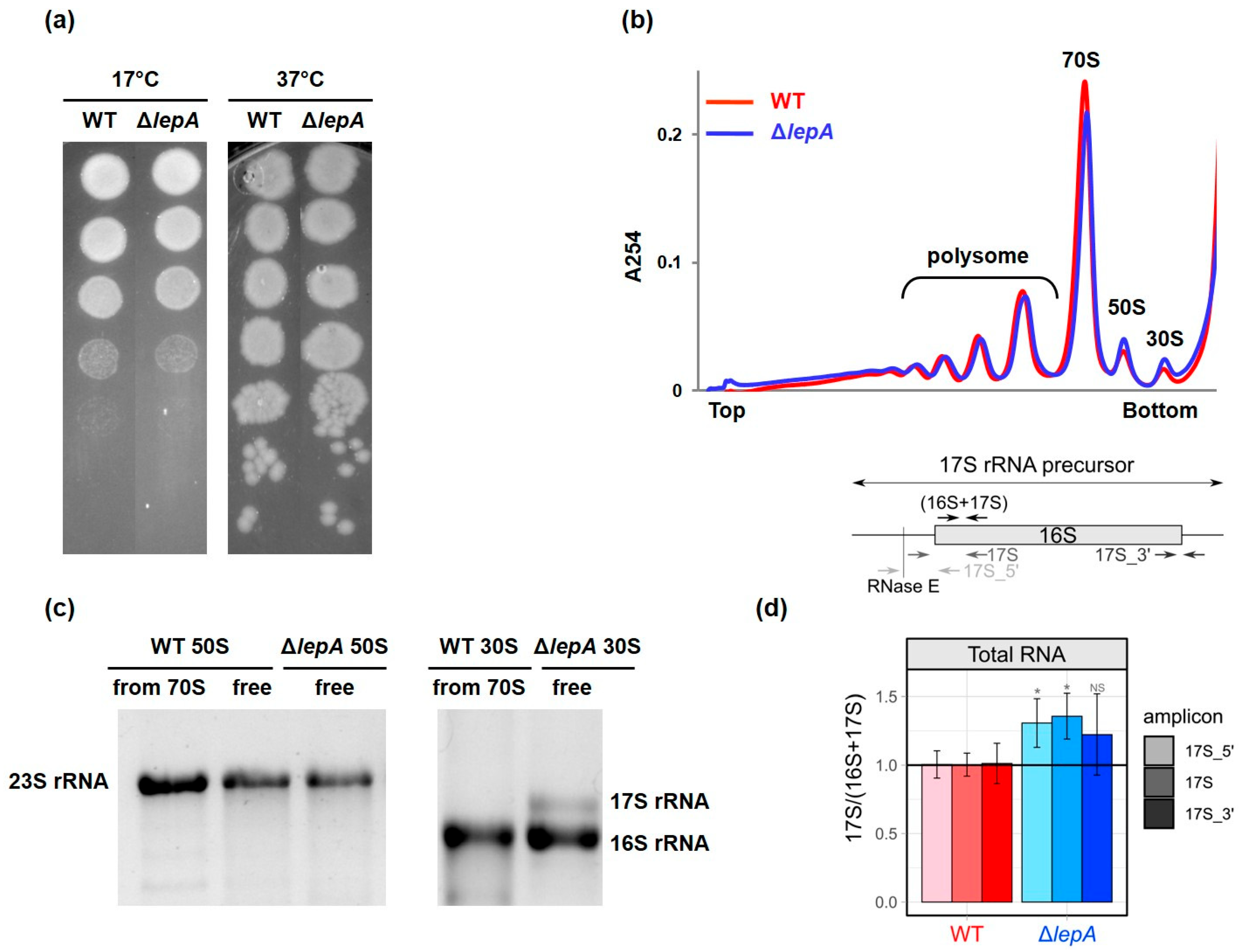Ijms 27 00489 g001