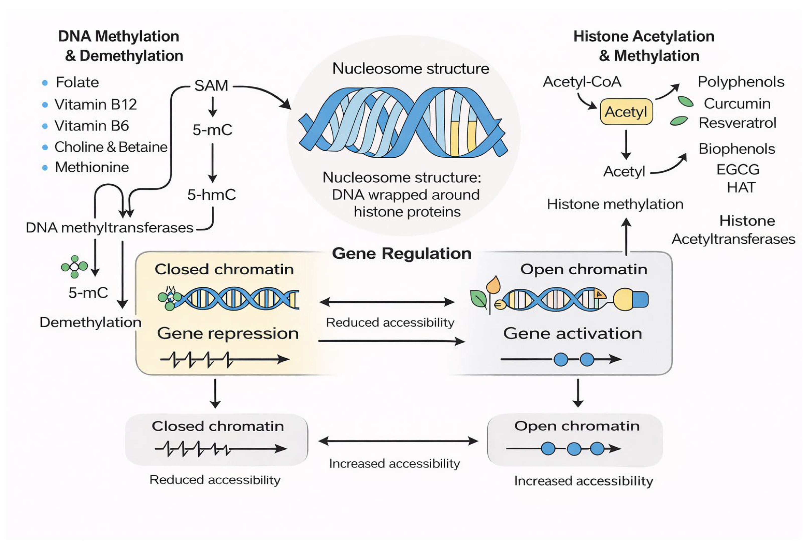 Ijms 27 00566 g001 Ijms 27 00566 g001