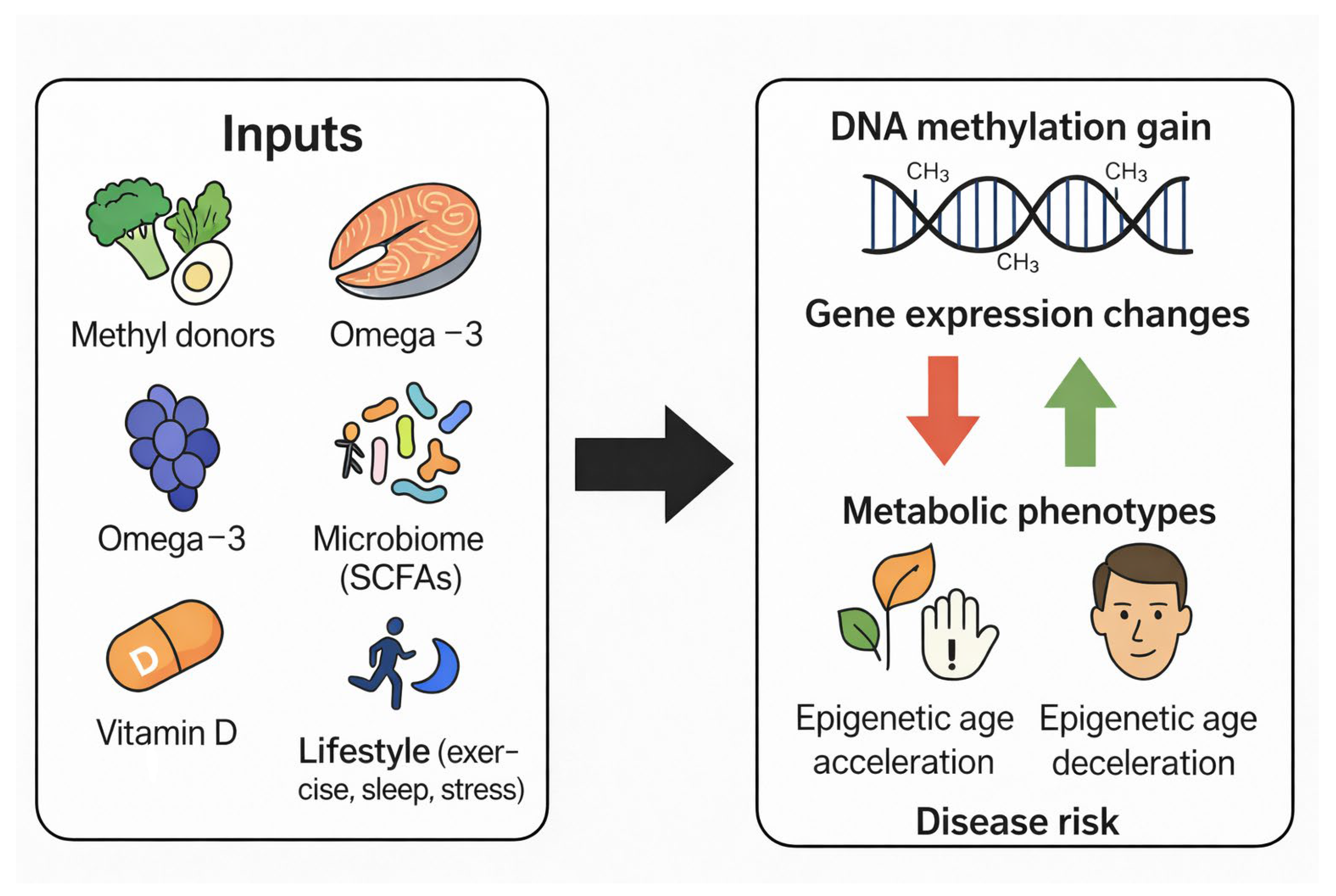Ijms 27 00566 g003 Ijms 27 00566 g003