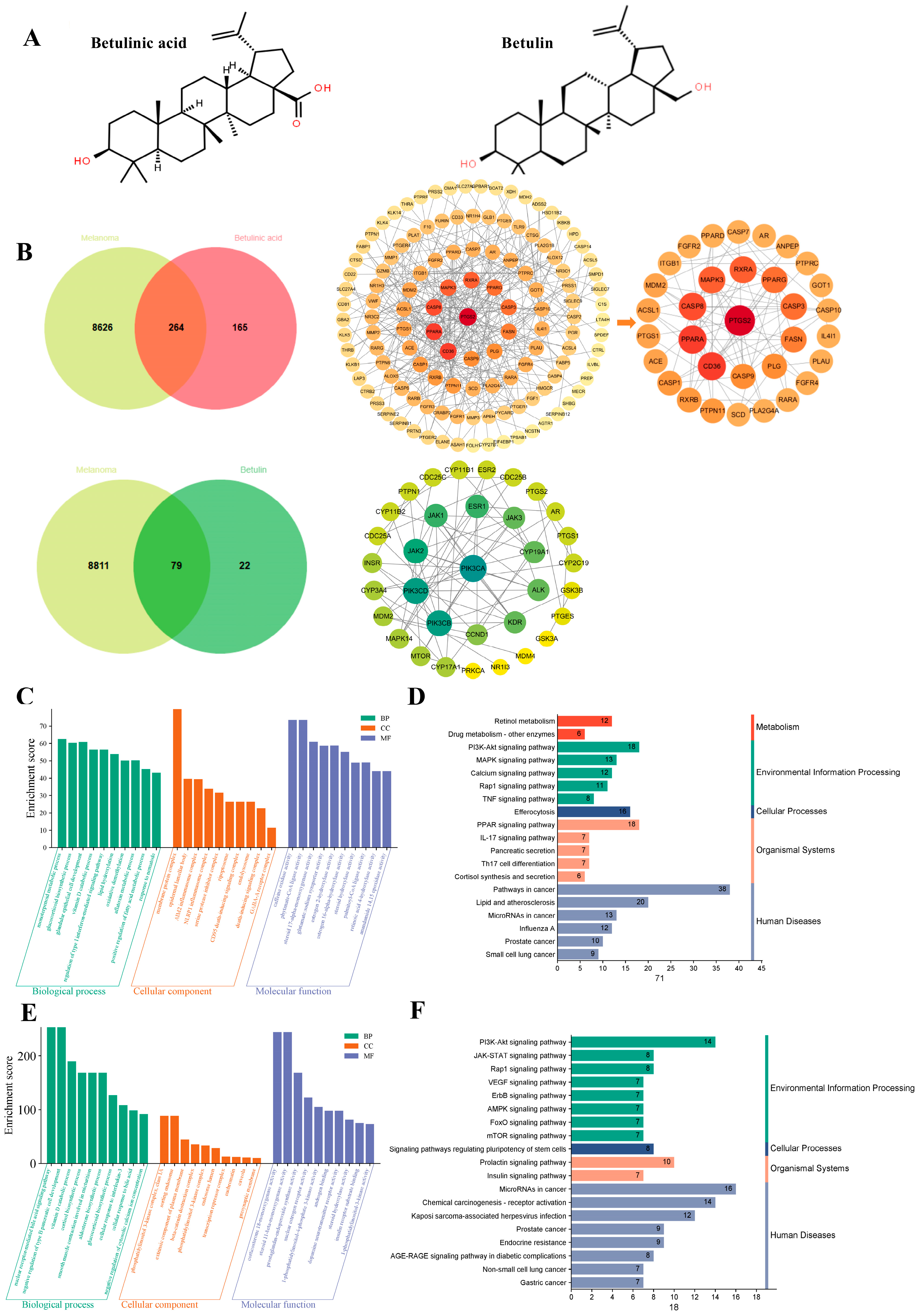 Ijms 27 00576 g001 Ijms 27 00576 g001