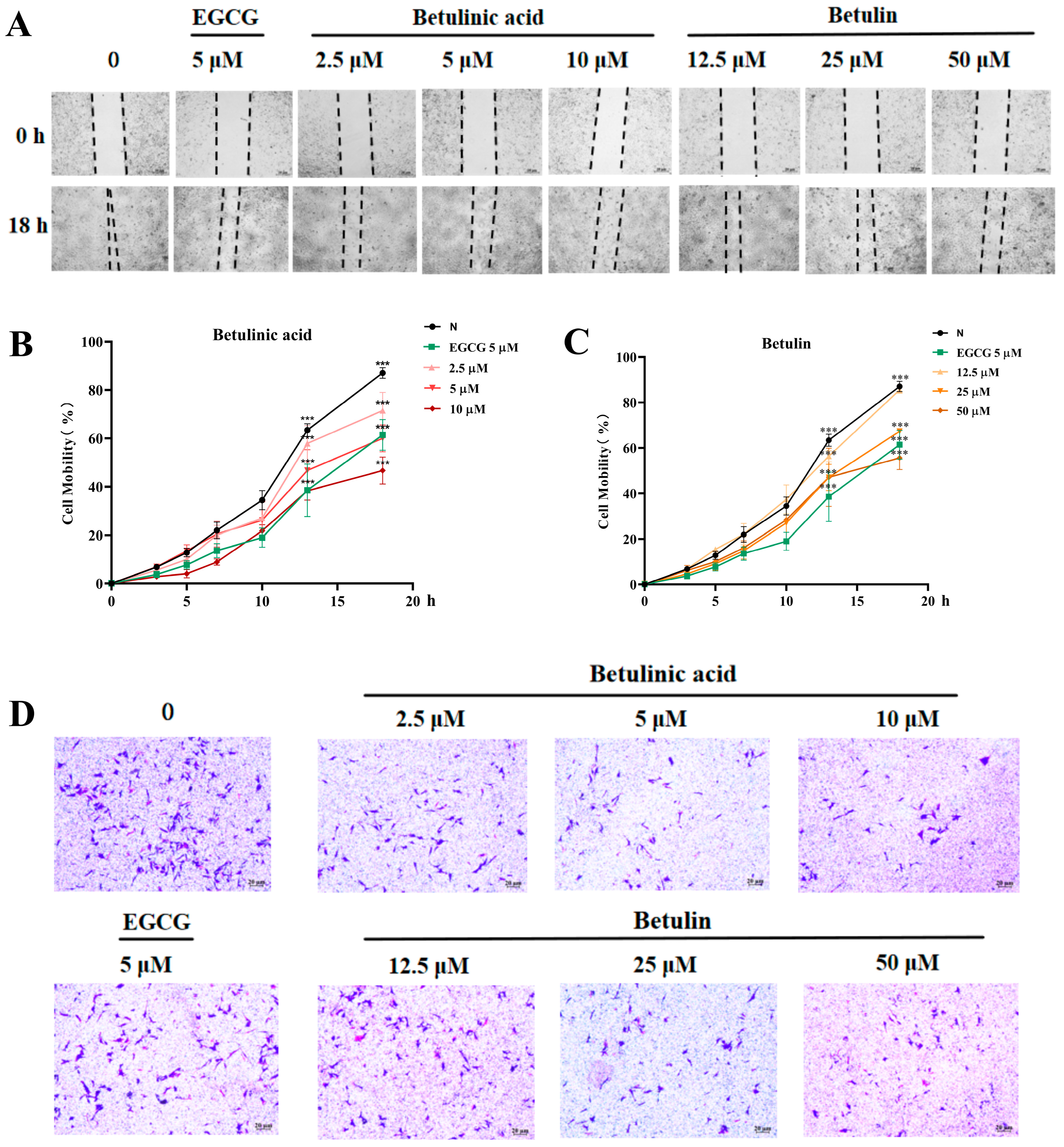 Ijms 27 00576 g003 Ijms 27 00576 g003