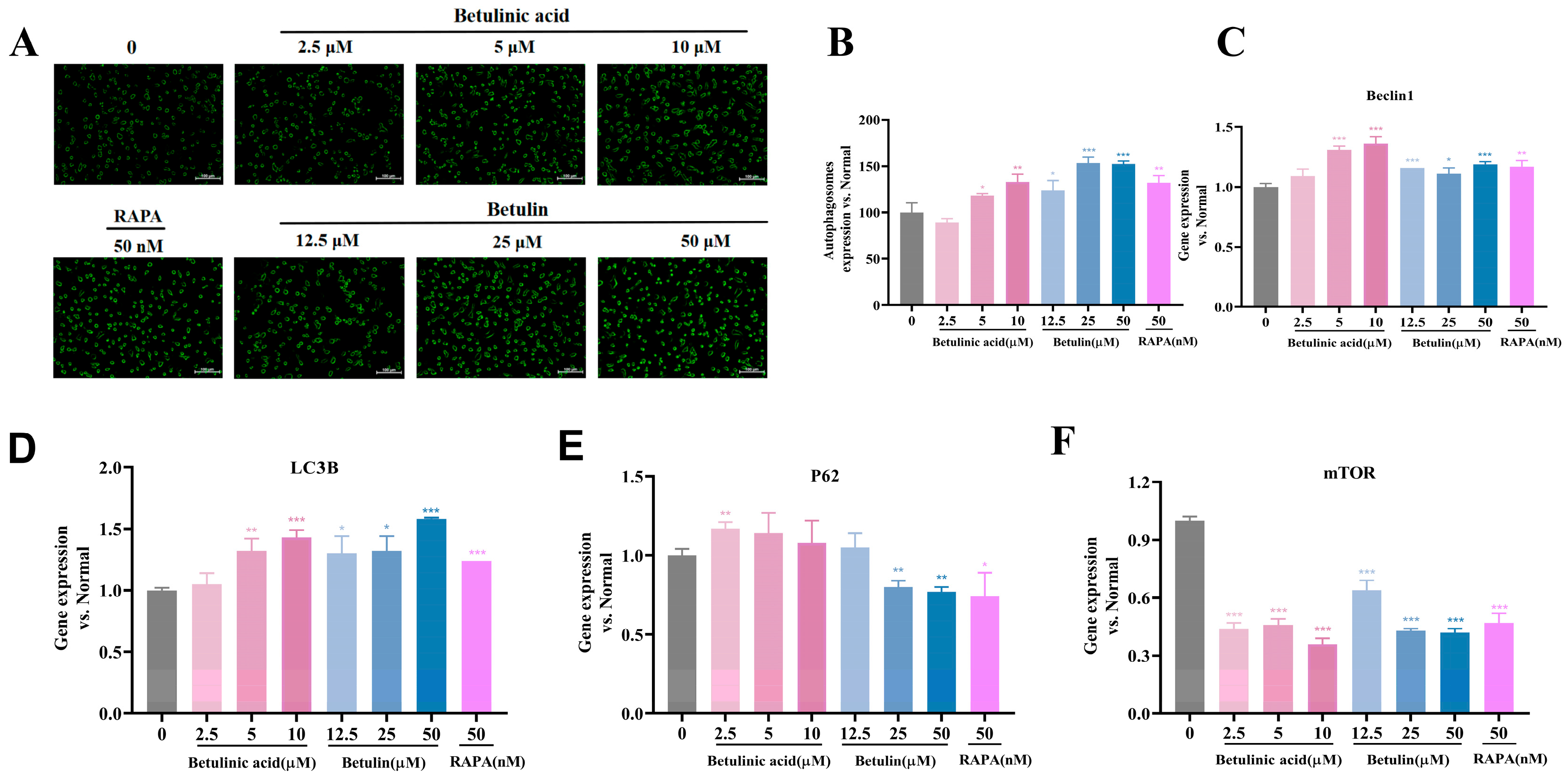 Ijms 27 00576 g005 Ijms 27 00576 g005