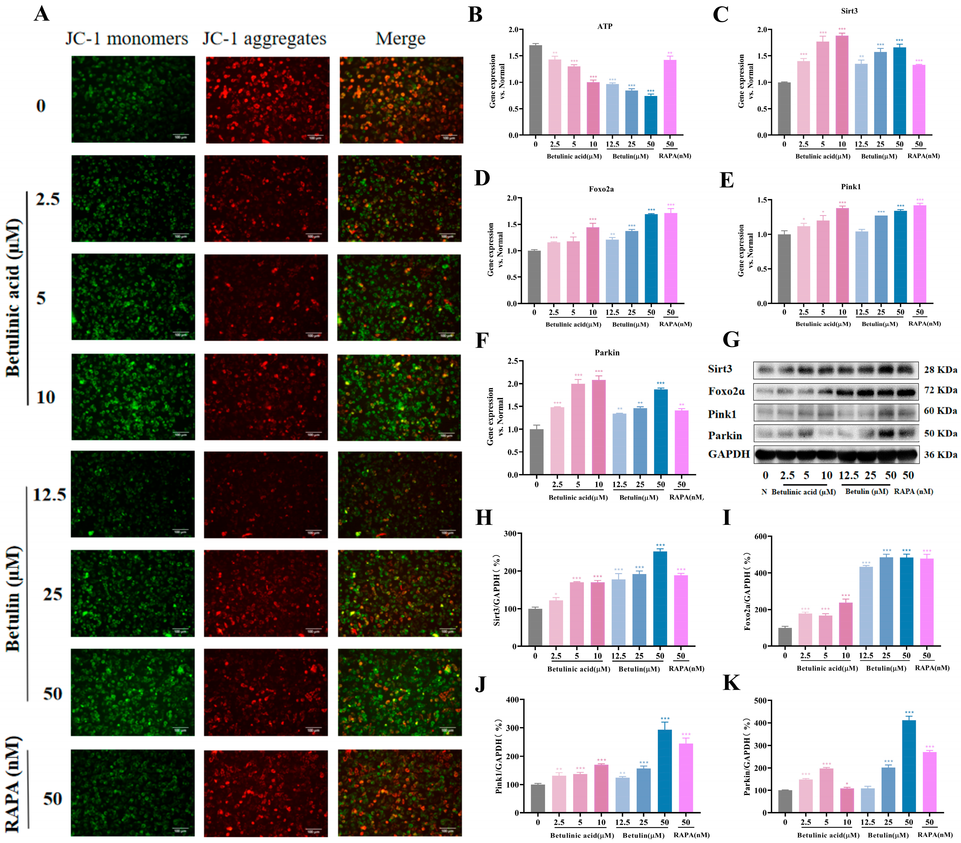 Ijms 27 00576 g006 Ijms 27 00576 g006