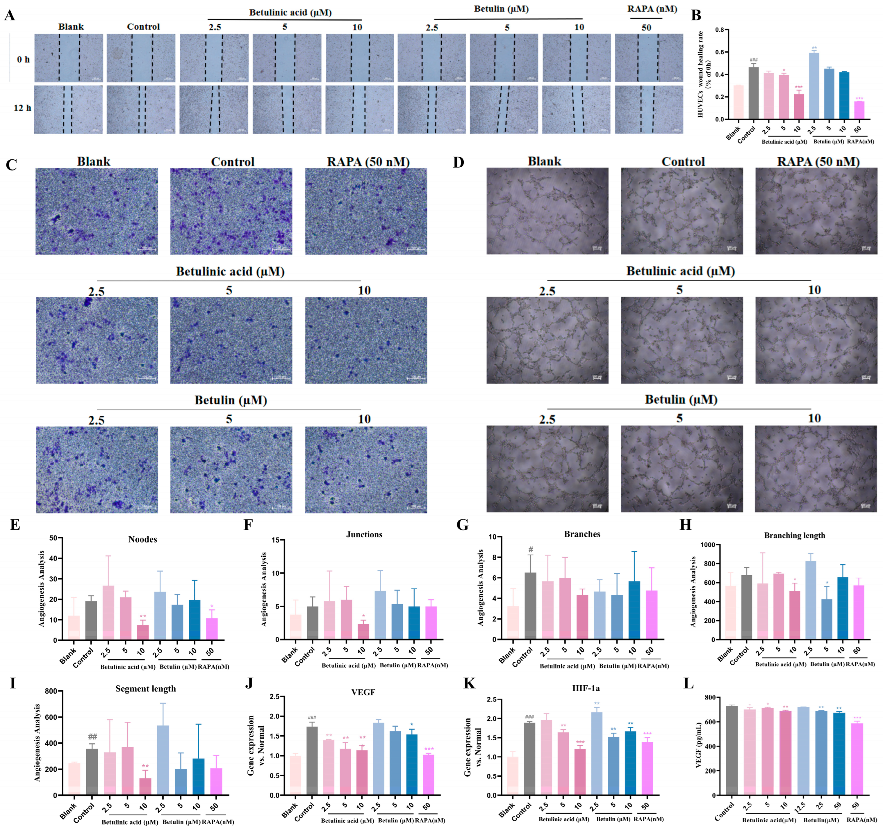 Ijms 27 00576 g008 Ijms 27 00576 g008