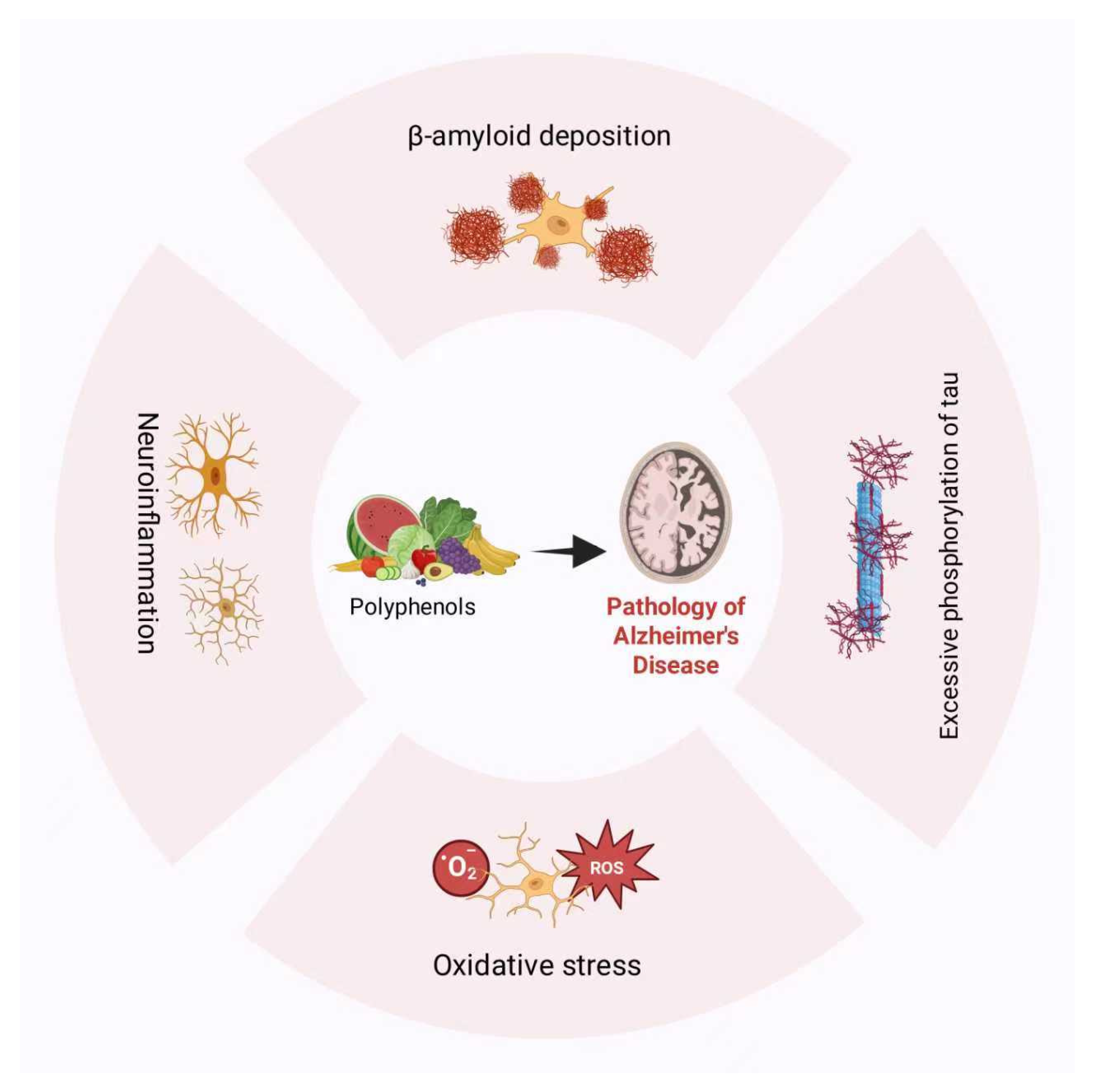 Ijms 27 00604 g001 Ijms 27 00604 g001