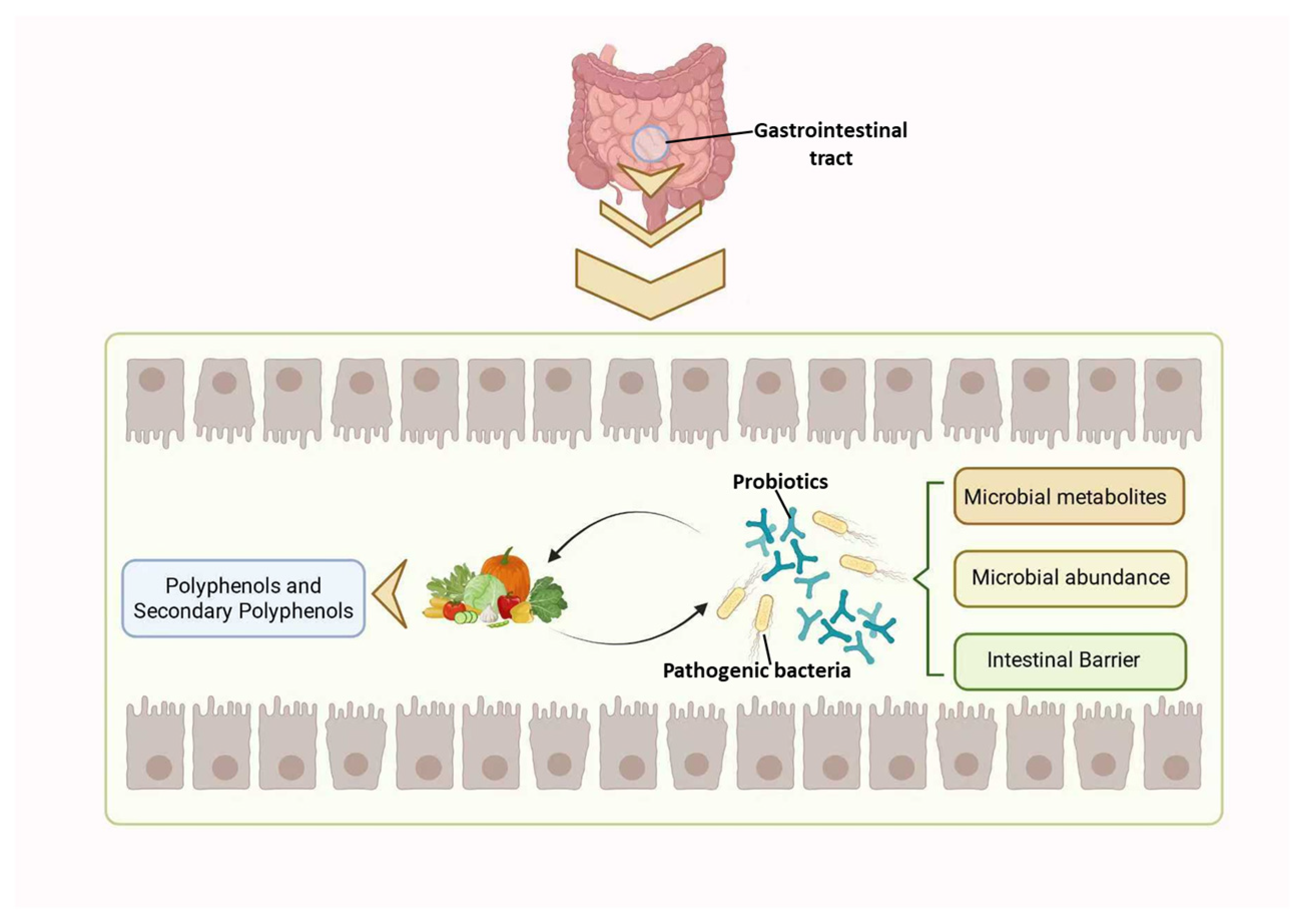 Ijms 27 00604 g002 Ijms 27 00604 g002