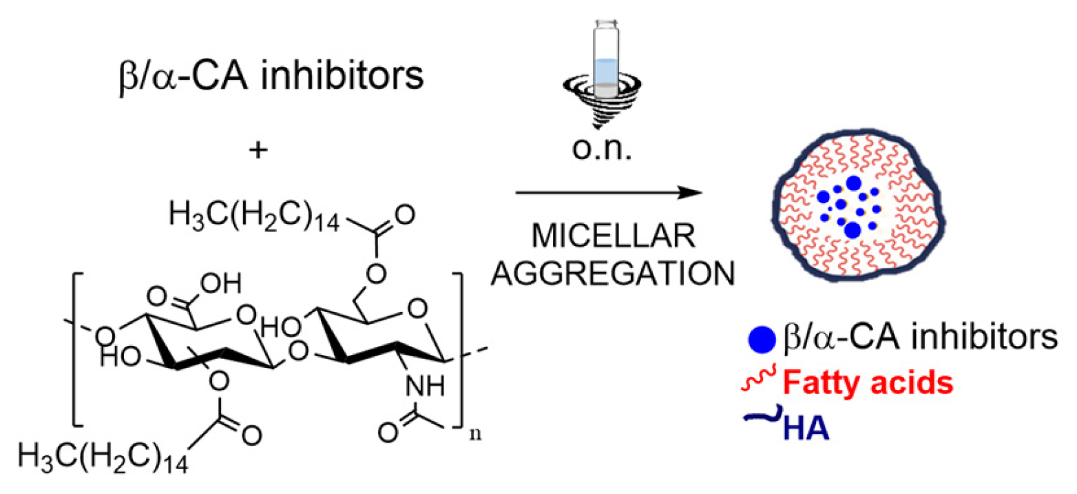 Ijms 27 00621 sch001 Ijms 27 00621 sch001