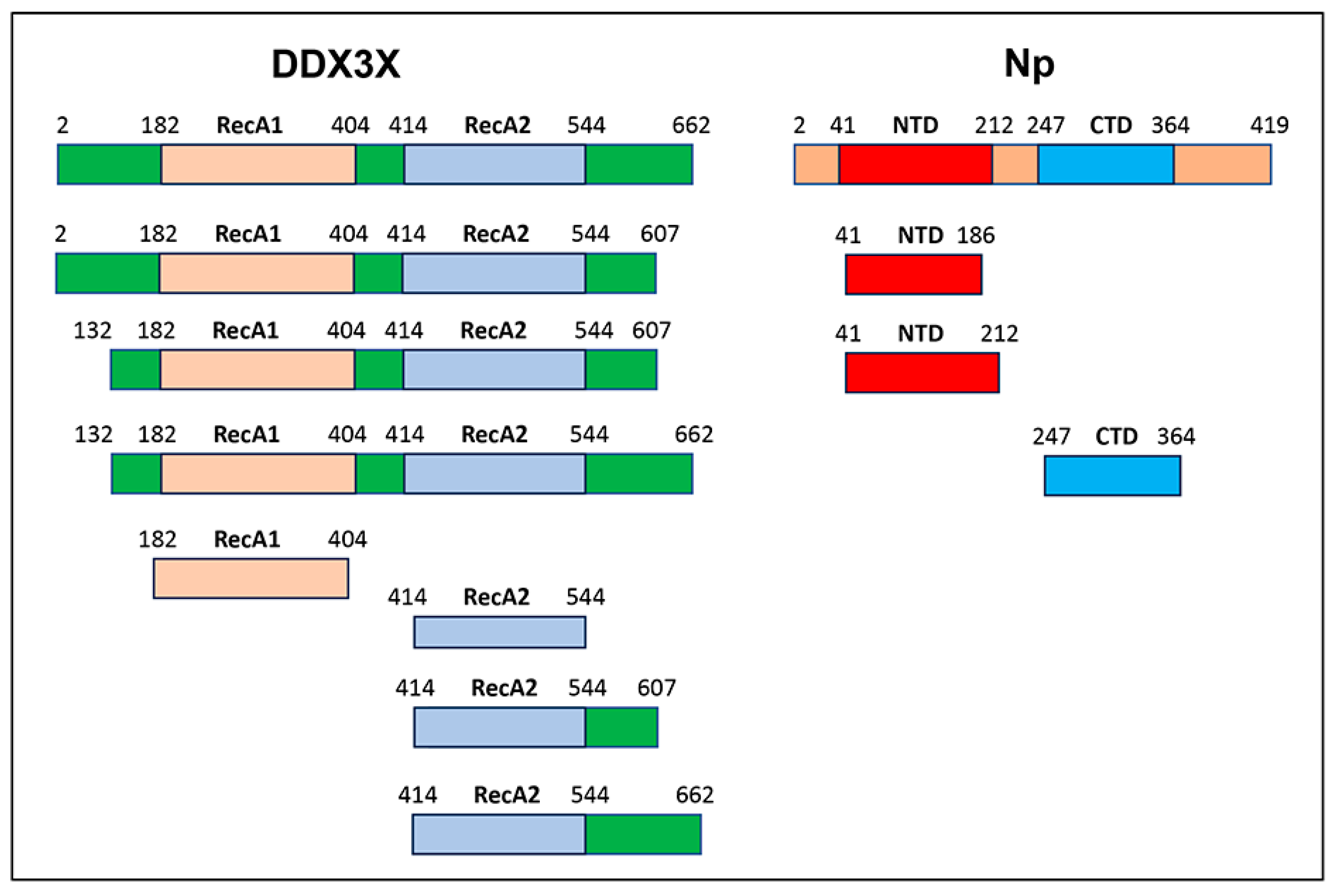 Ijms 27 00672 sch001