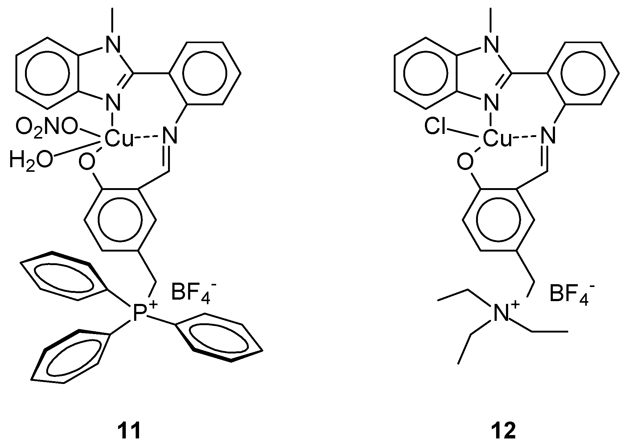 Ijms 27 00678 g004 Ijms 27 00678 g004