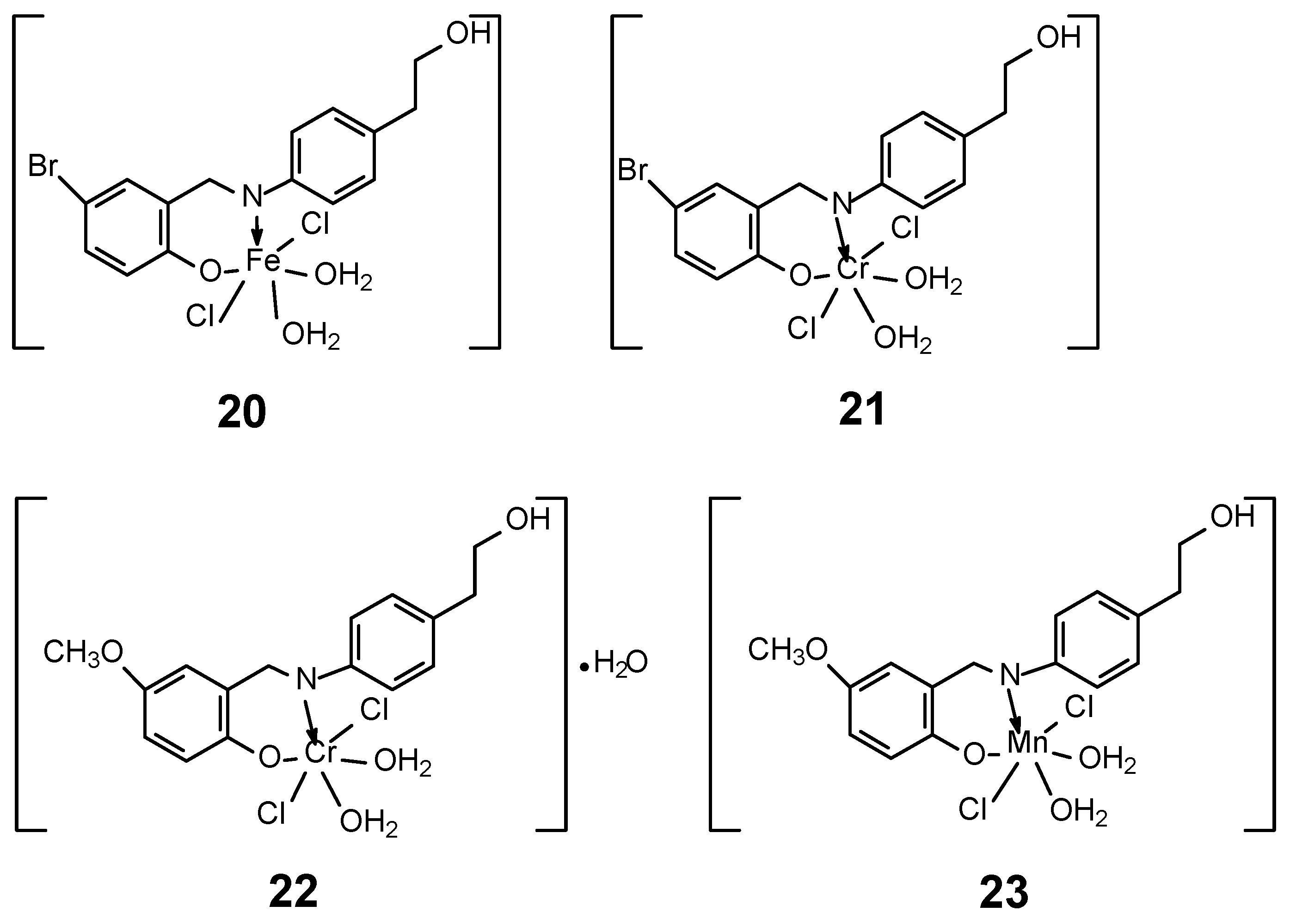 Ijms 27 00678 g010 Ijms 27 00678 g010