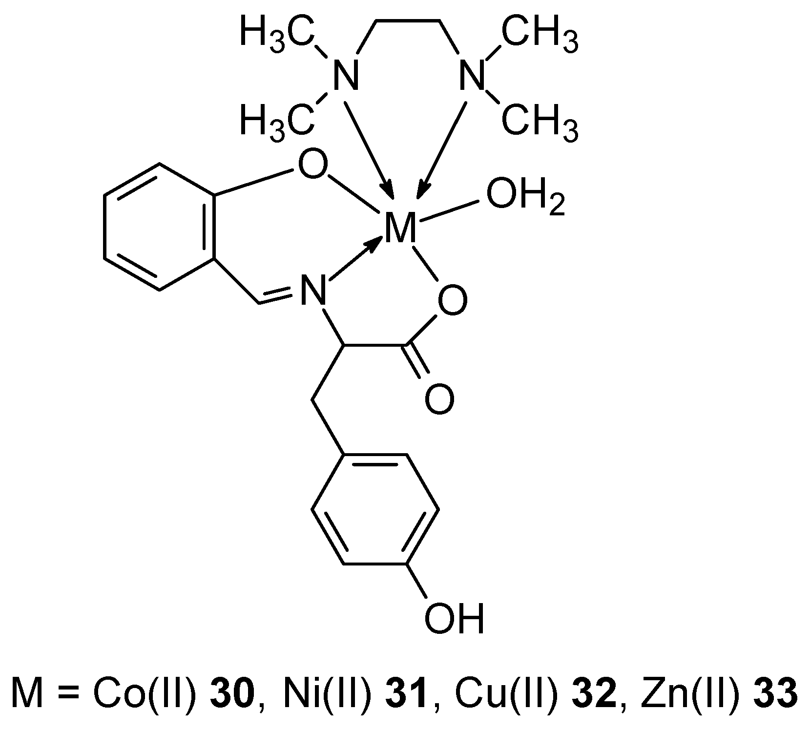 Ijms 27 00678 g013 Ijms 27 00678 g013