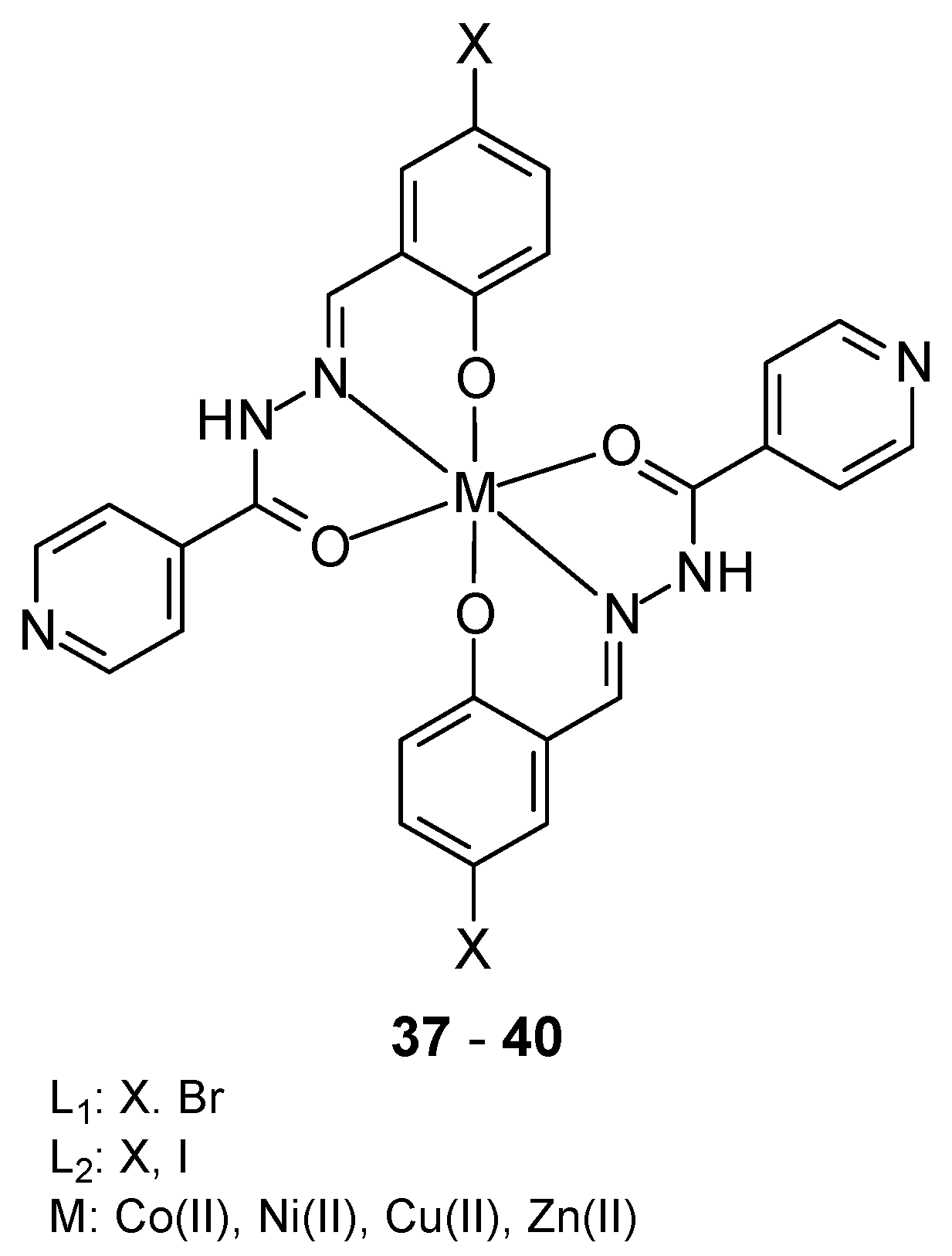 Ijms 27 00678 g015 Ijms 27 00678 g015