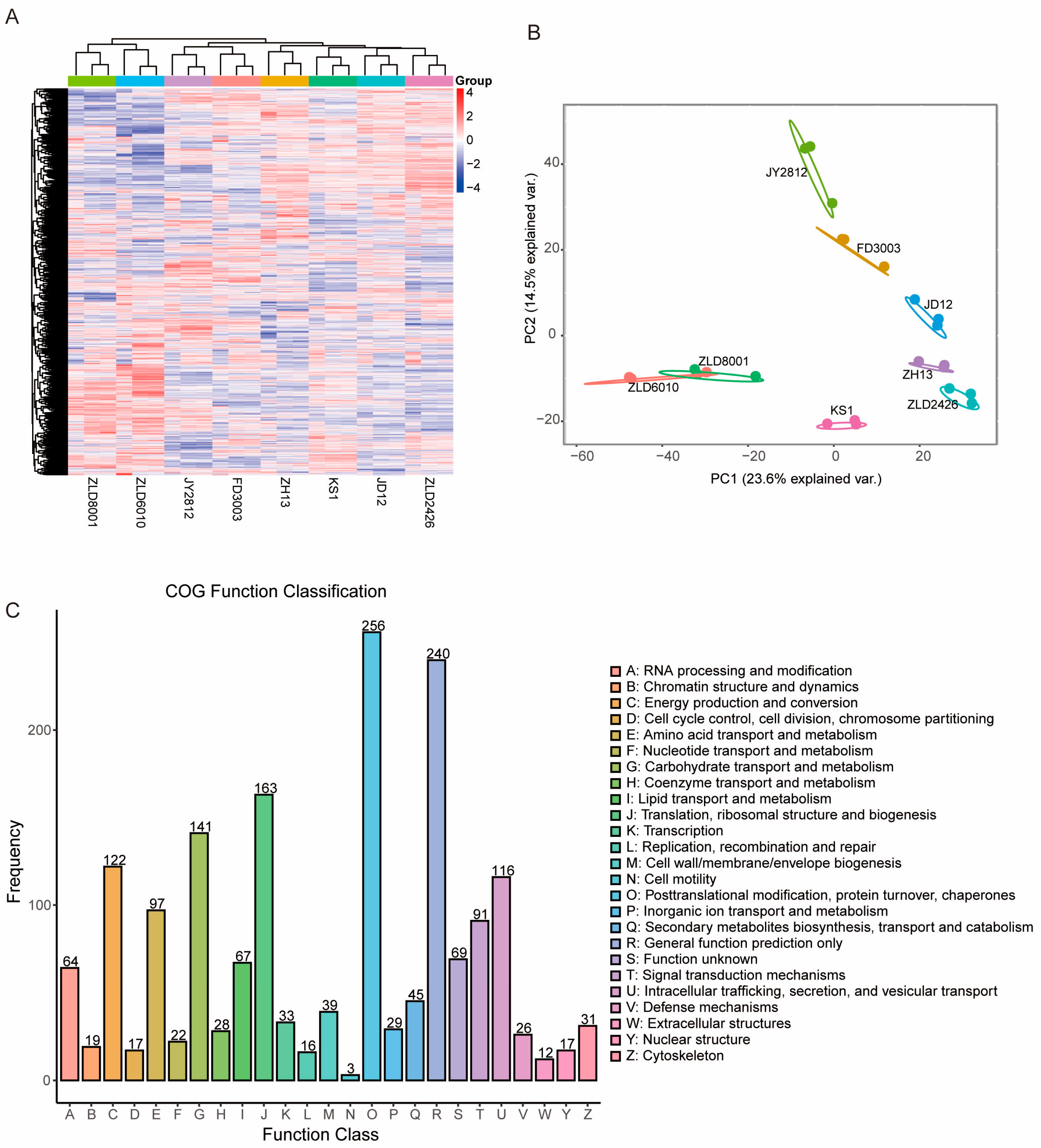 Ijms 27 00734 g001 Ijms 27 00734 g001