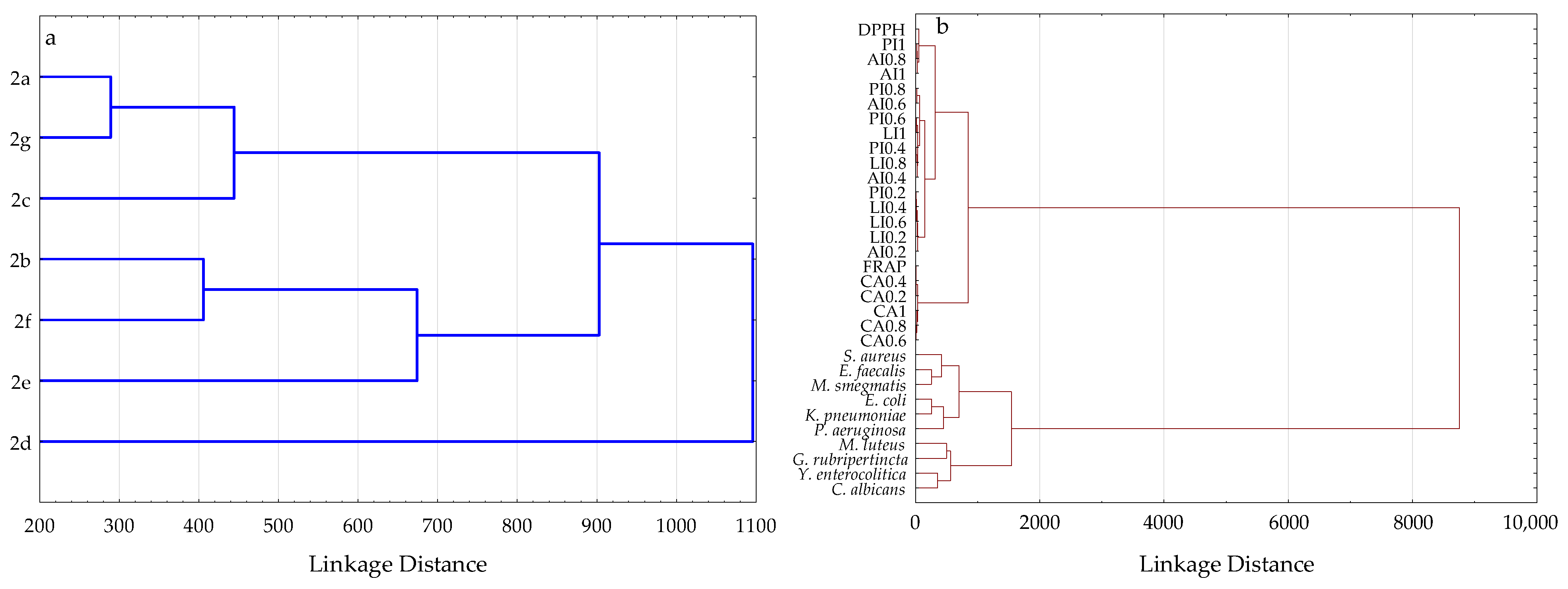 Ijms 27 00746 g010 Ijms 27 00746 g010