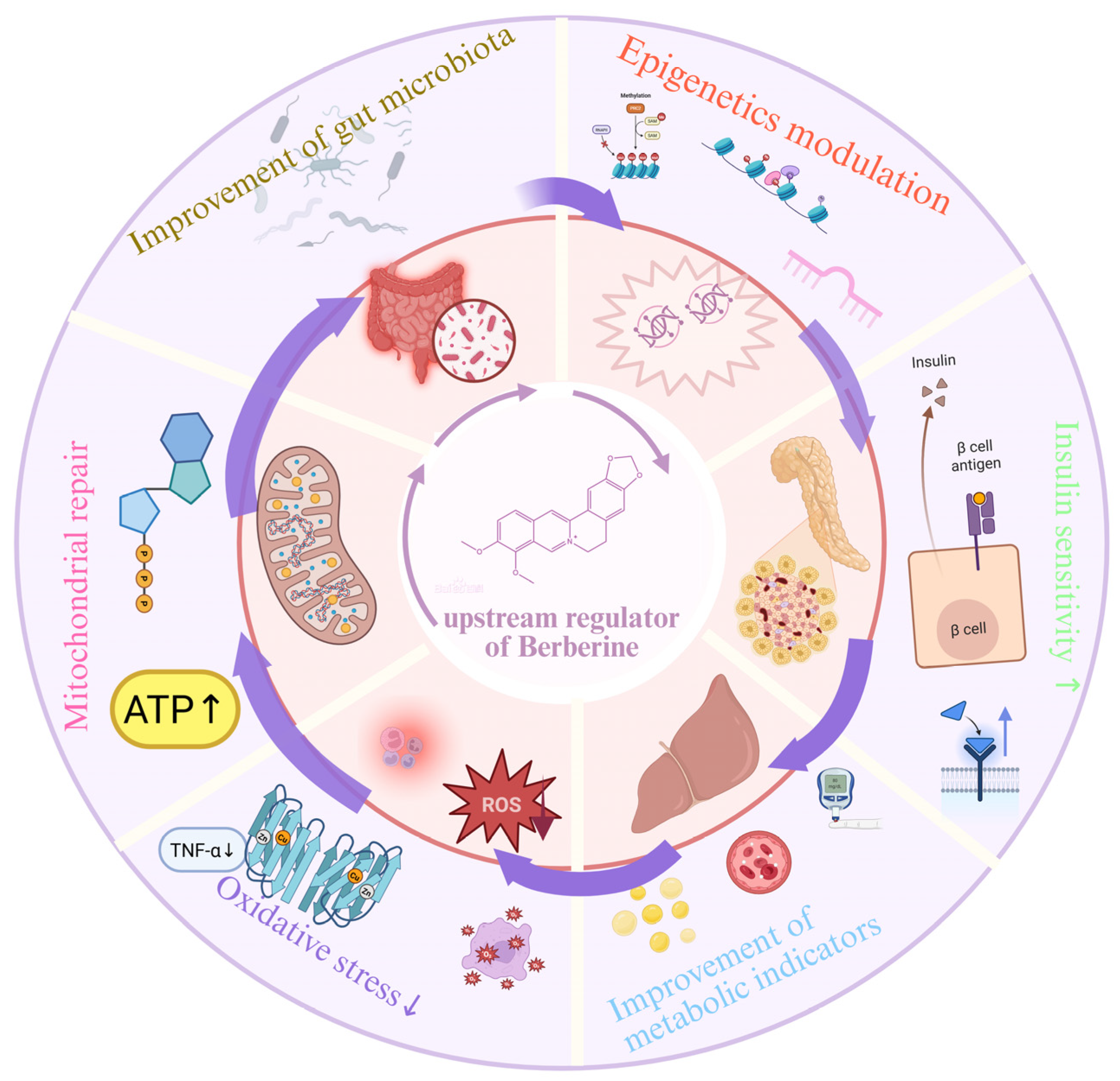 Ijms 27 00747 g003 Ijms 27 00747 g003