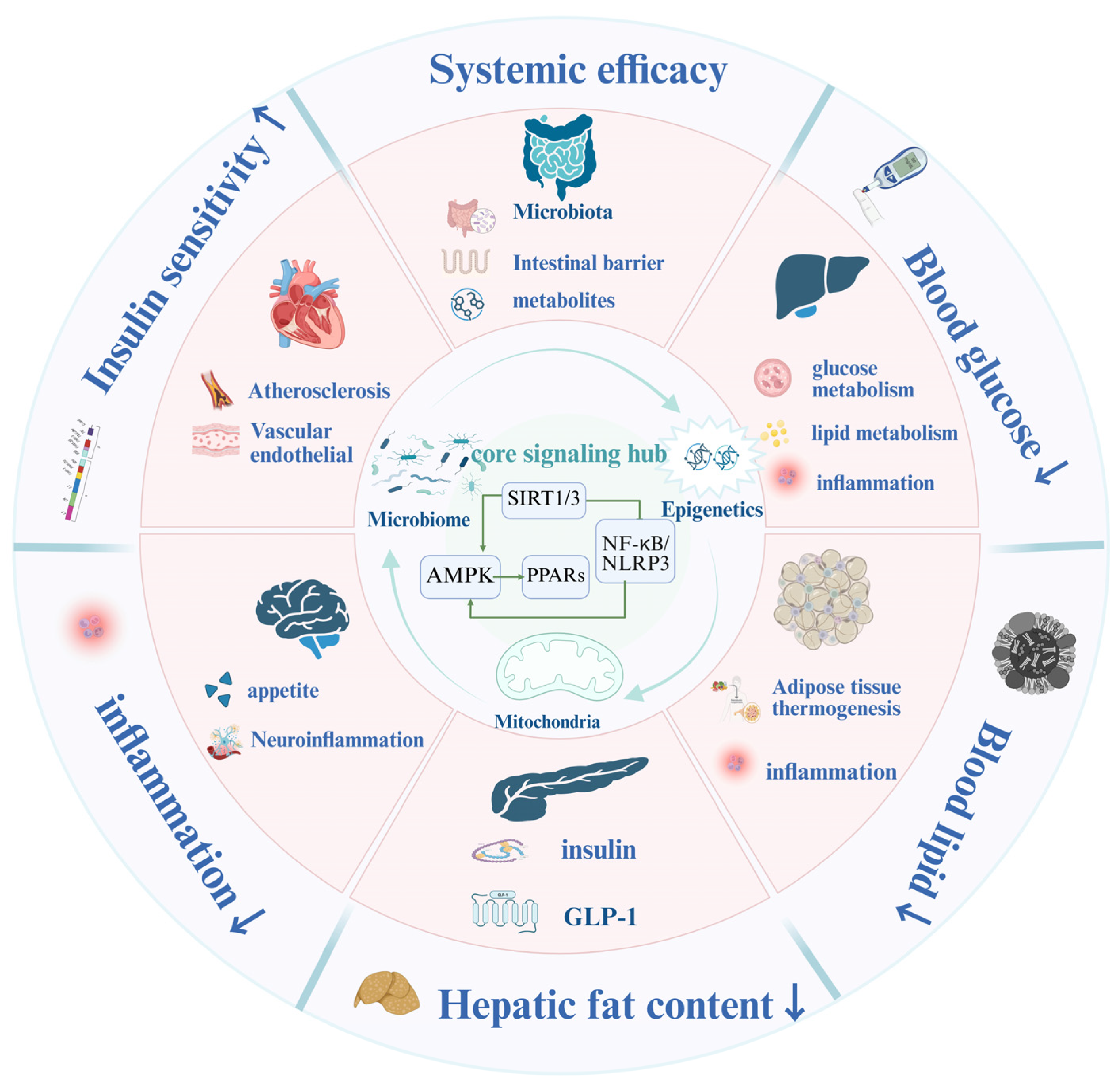 Ijms 27 00747 g004 Ijms 27 00747 g004