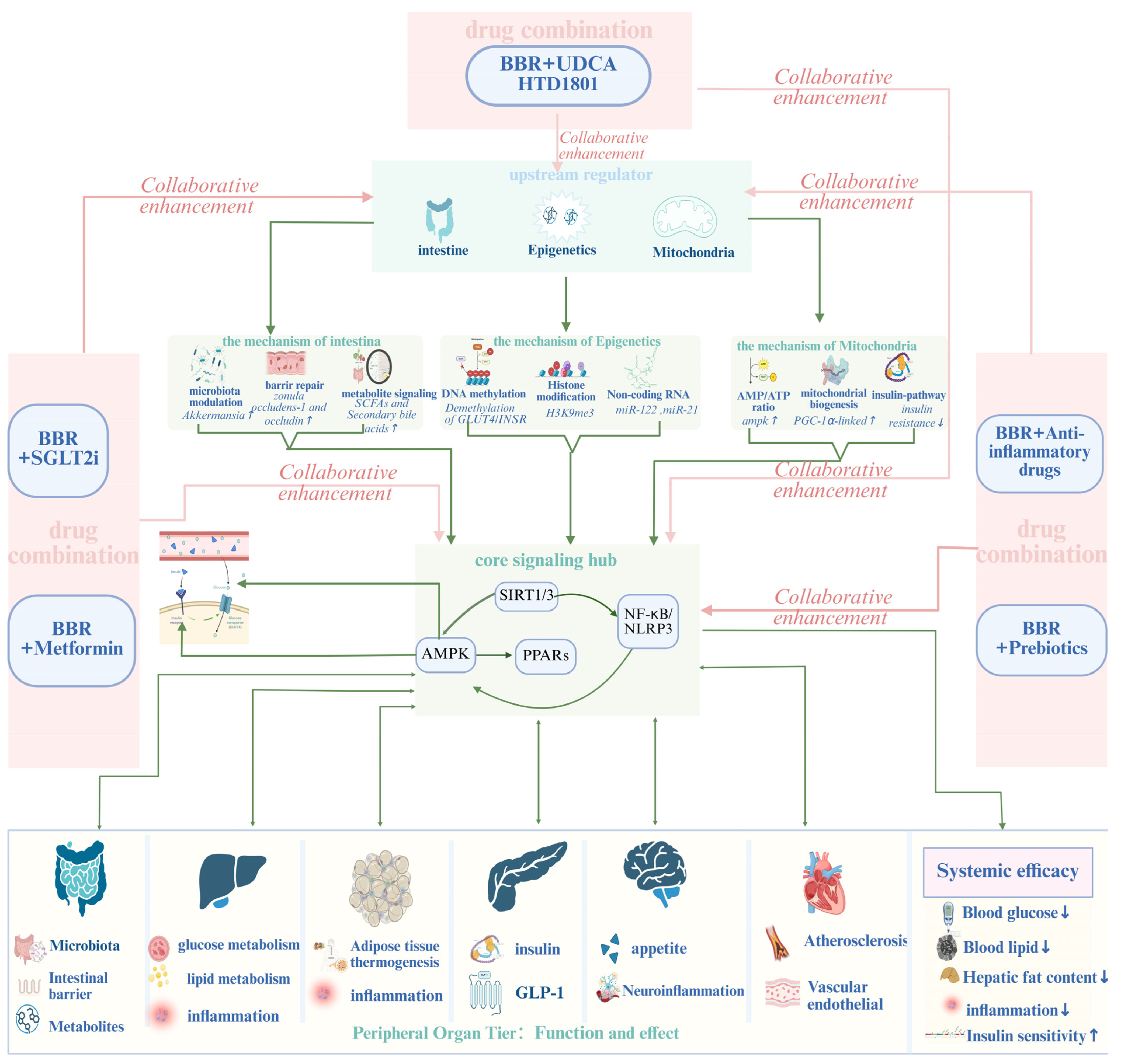 Ijms 27 00747 g005 Ijms 27 00747 g005