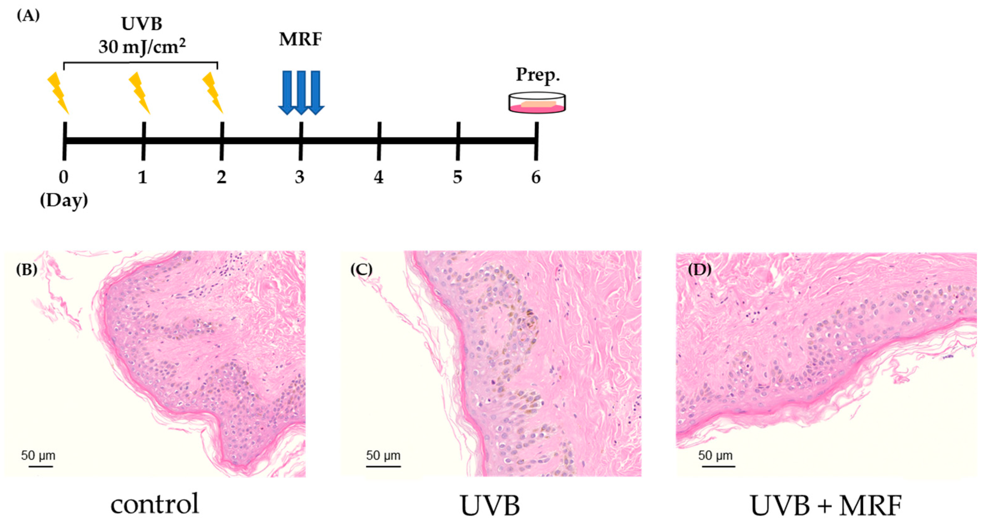 Ijms 27 00761 g009