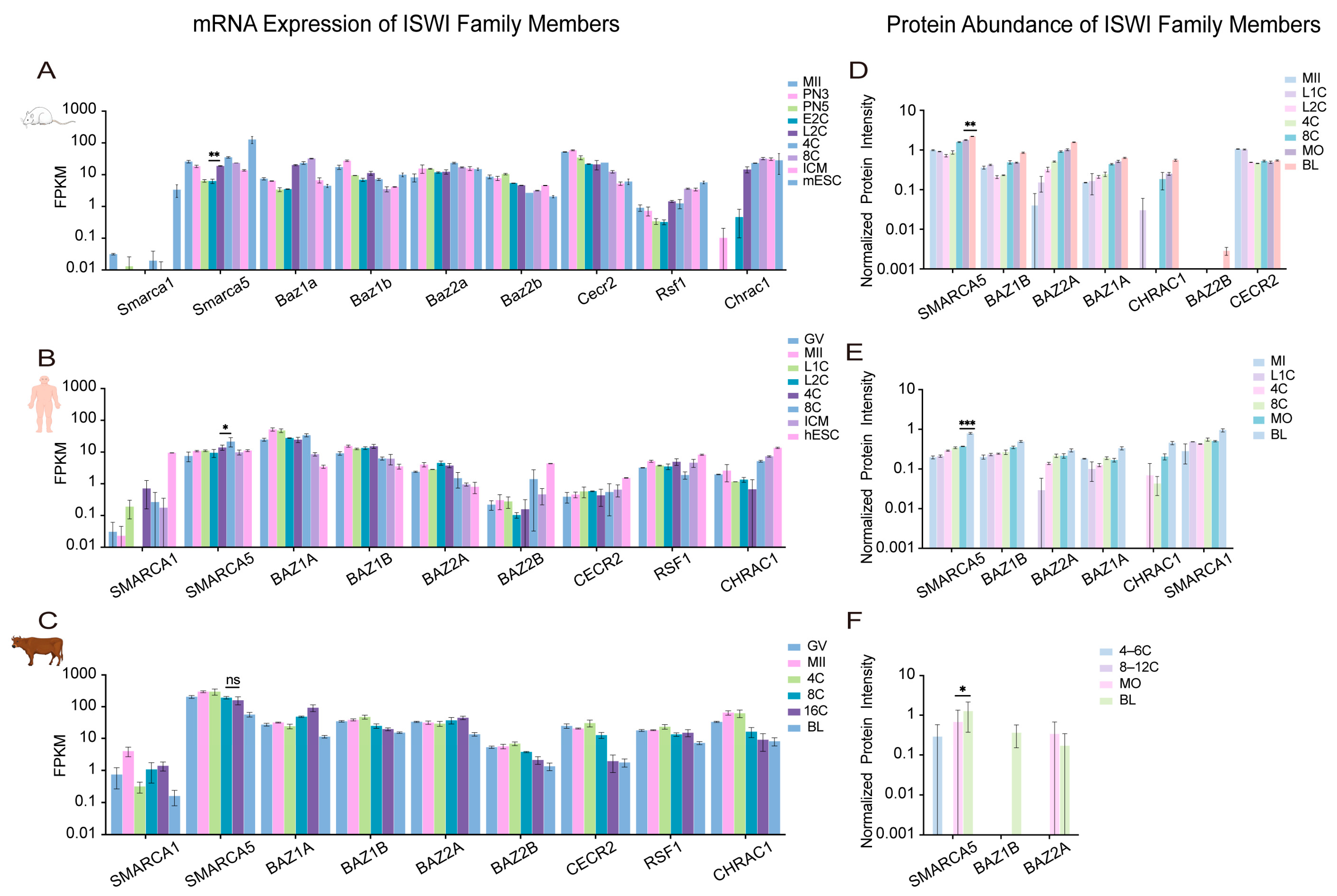 Ijms 27 00835 g006