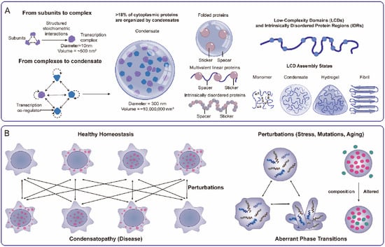 Biomolecular Condensates in Disease: Decoding the Material State and ...