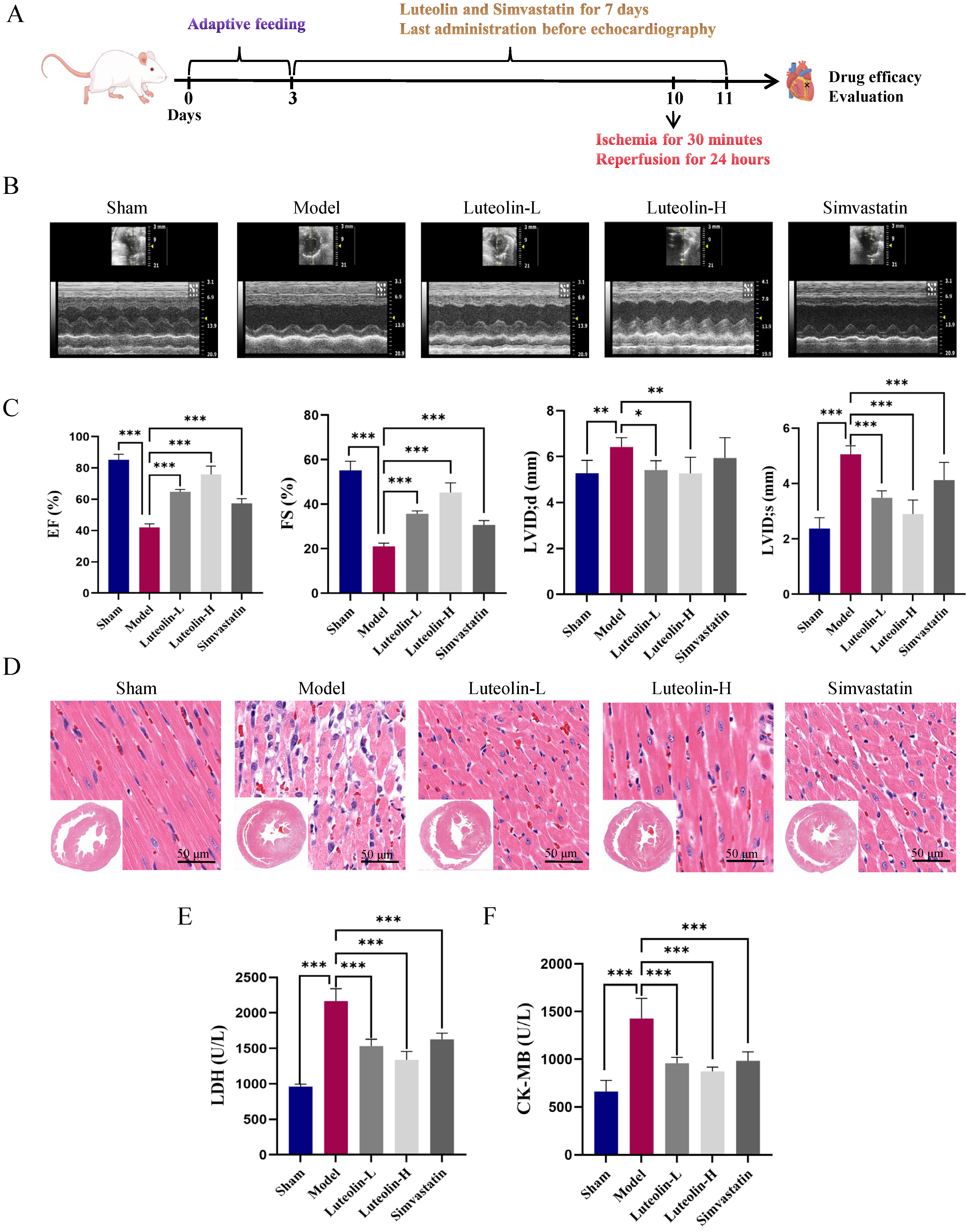 Ijms 27 00874 g001 Ijms 27 00874 g001