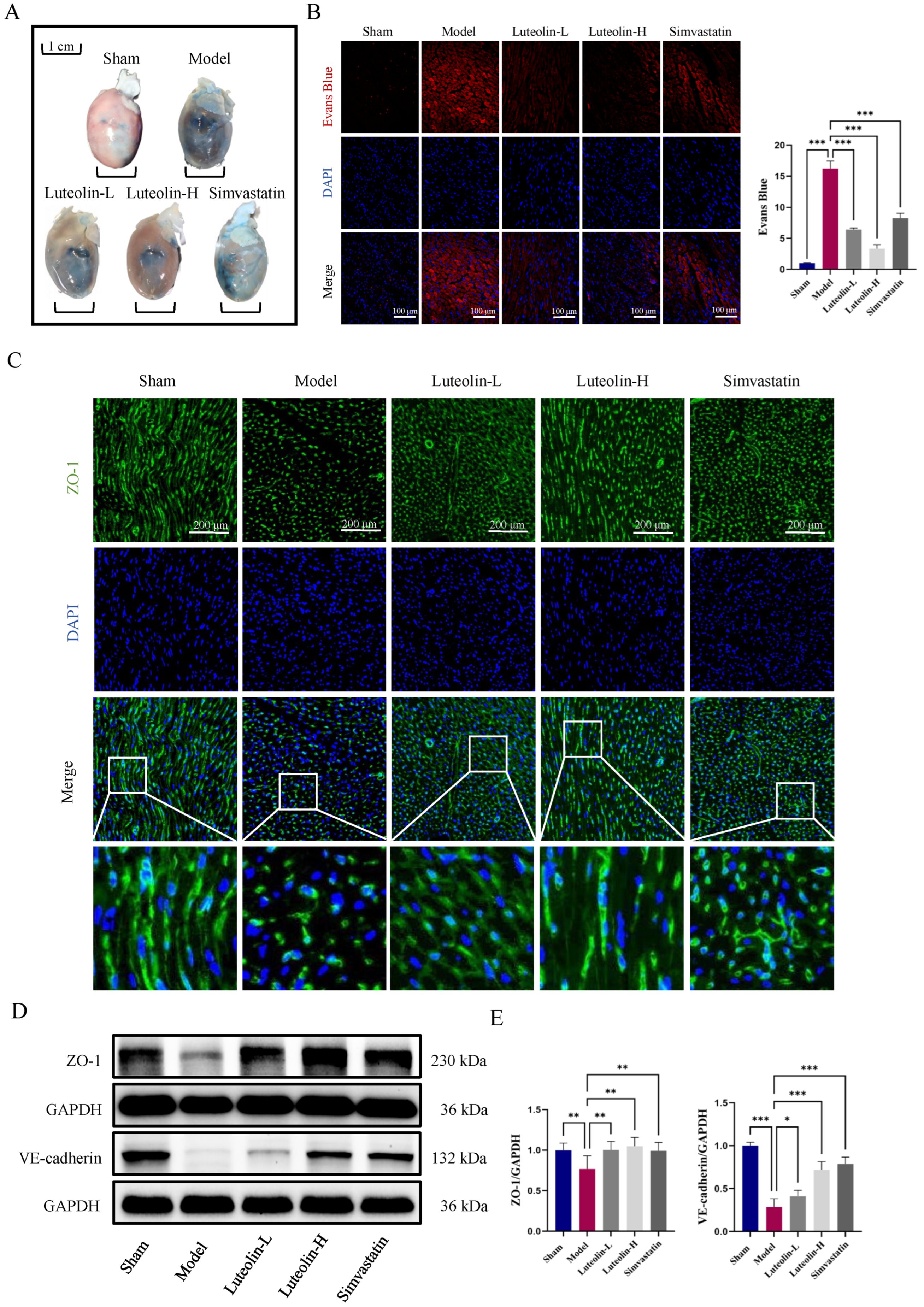 Ijms 27 00874 g002 Ijms 27 00874 g002