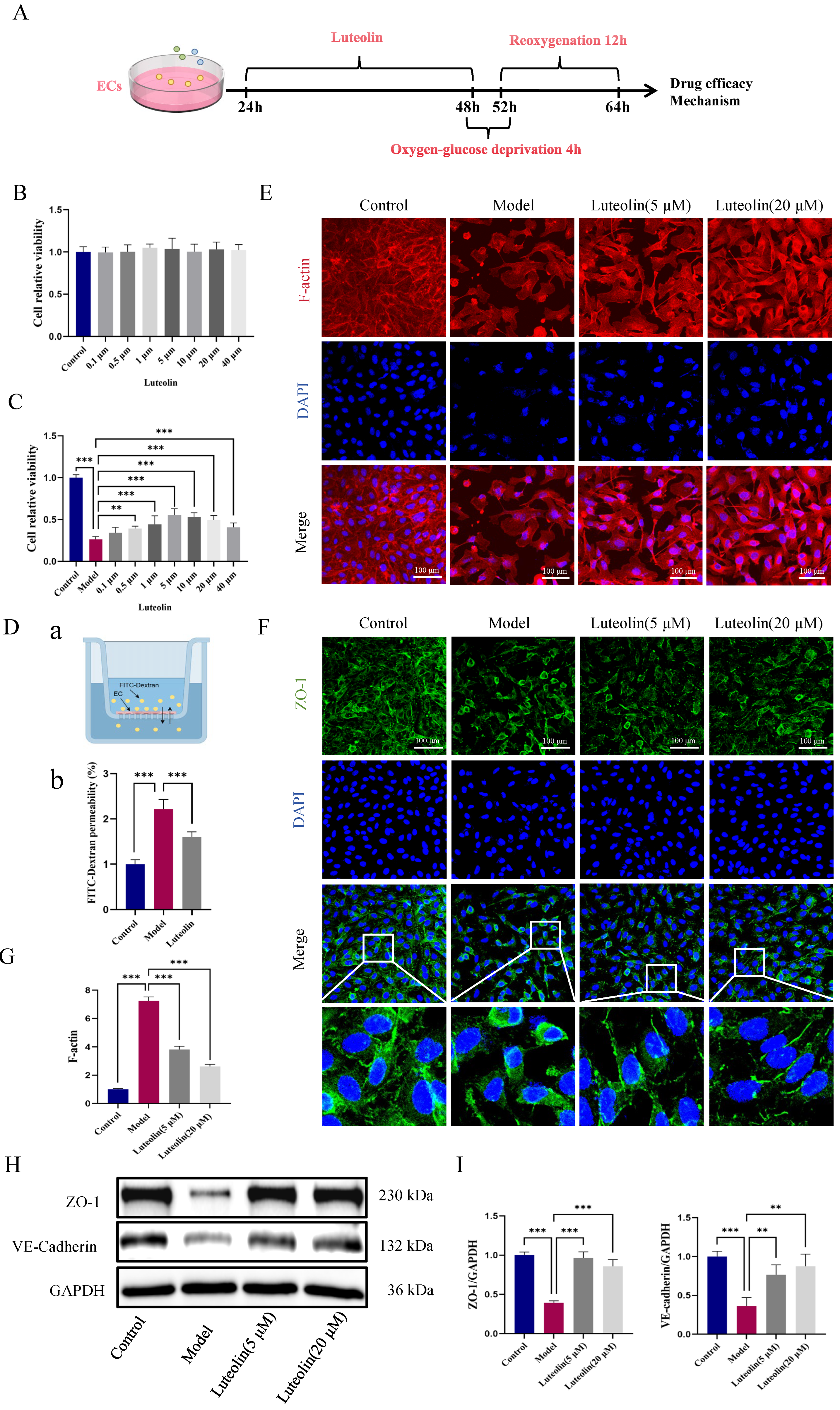 Ijms 27 00874 g004 Ijms 27 00874 g004