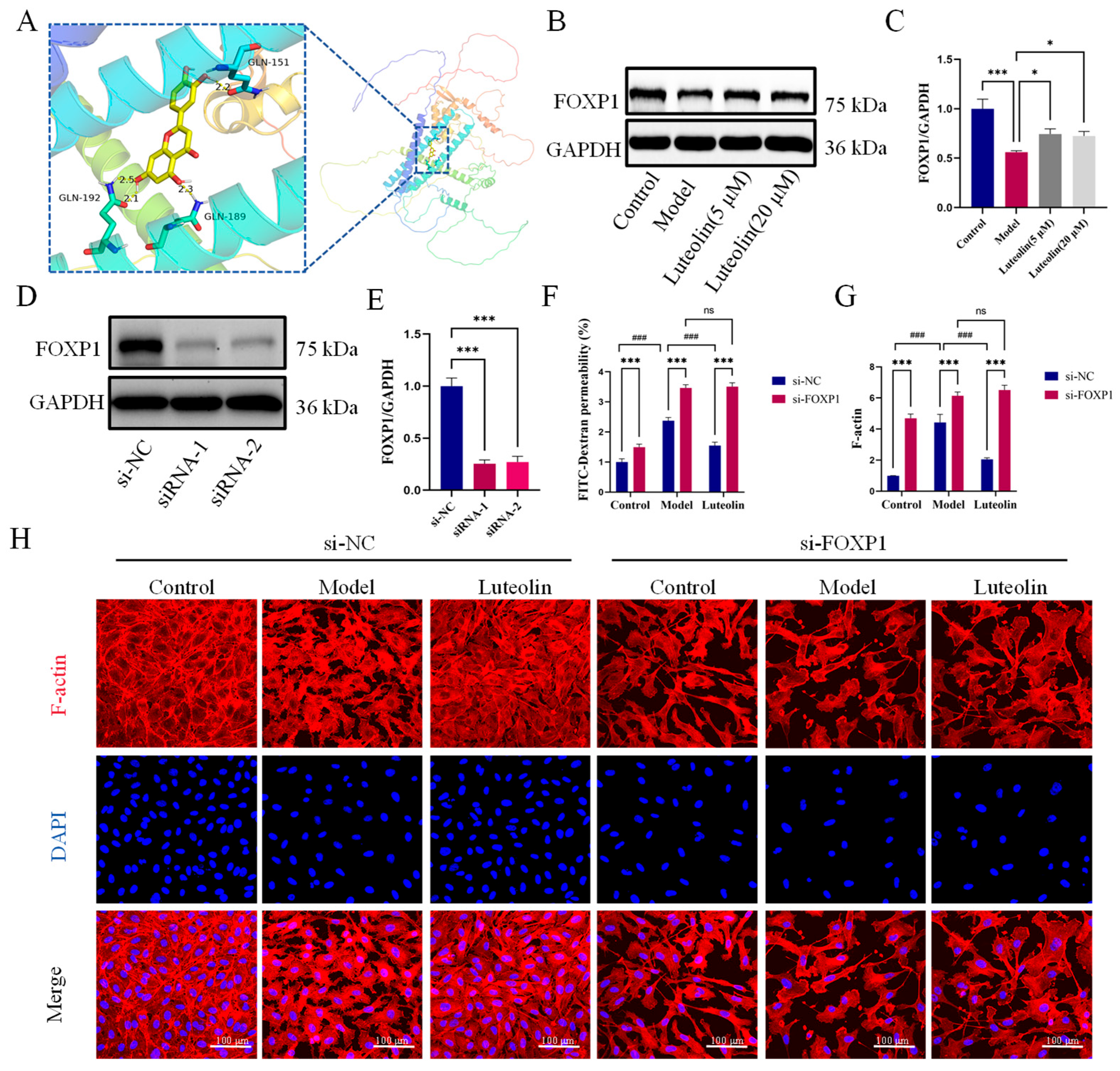 Ijms 27 00874 g005a Ijms 27 00874 g005a