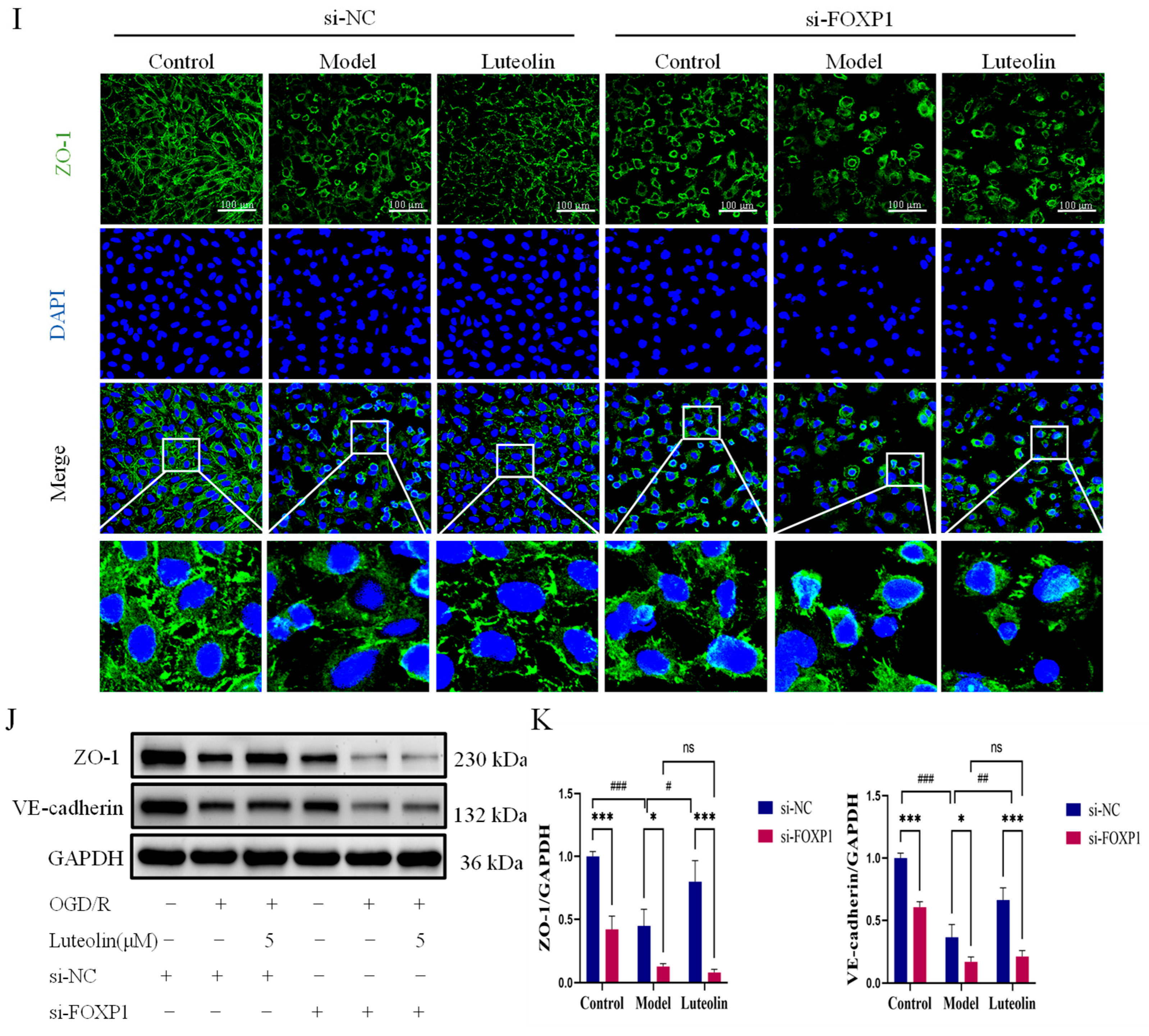 Ijms 27 00874 g005b Ijms 27 00874 g005b